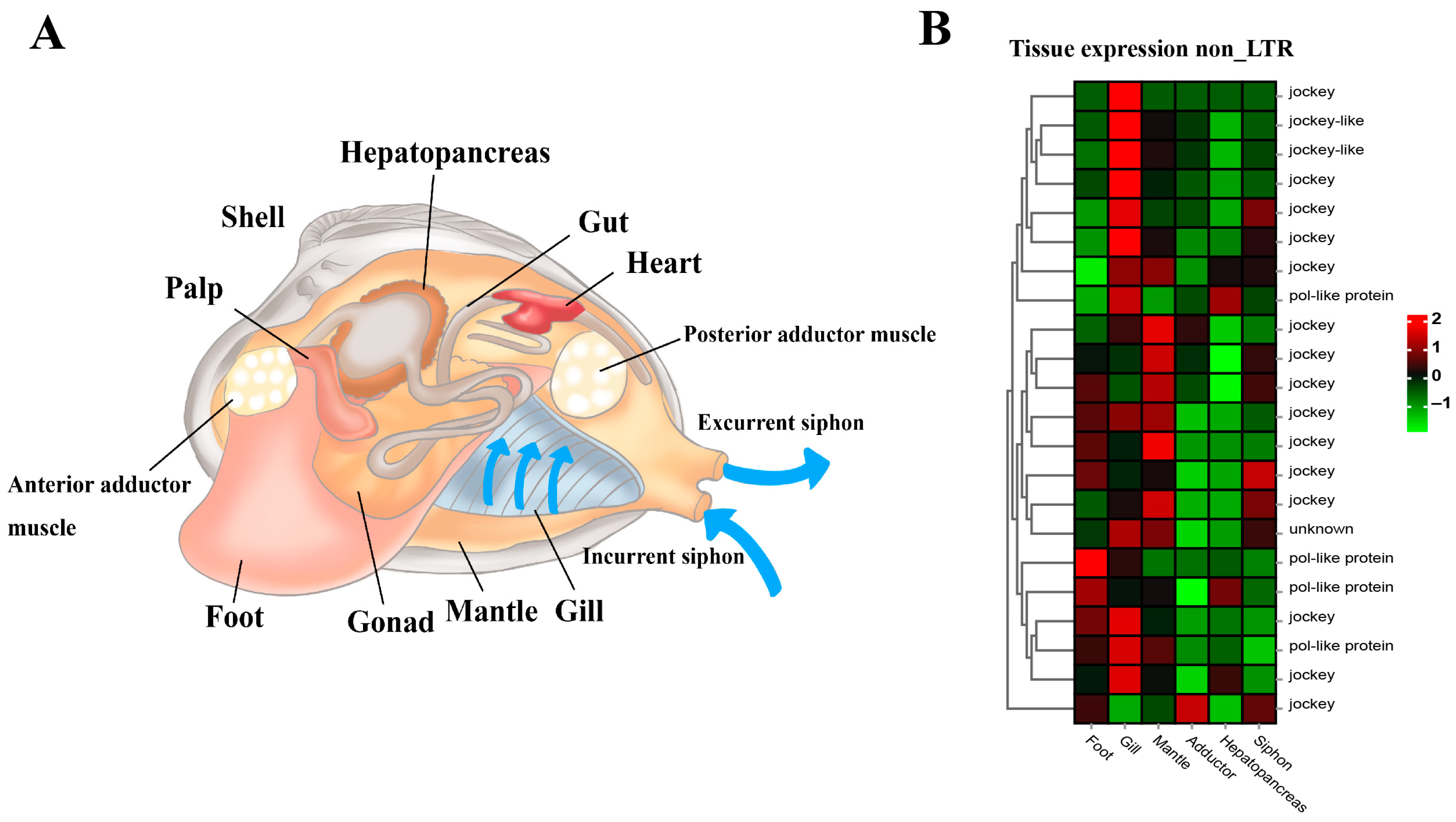 Biology 13 00870 g007