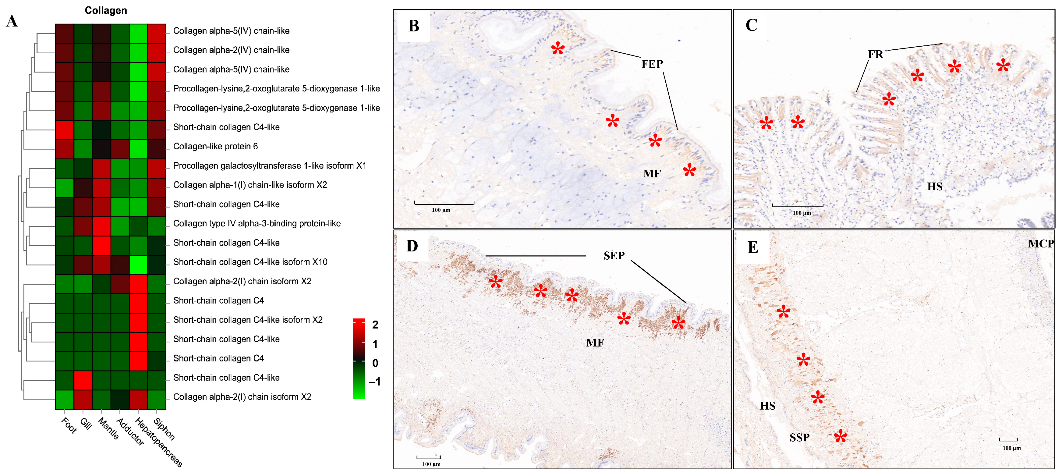 Biology 13 00870 g010