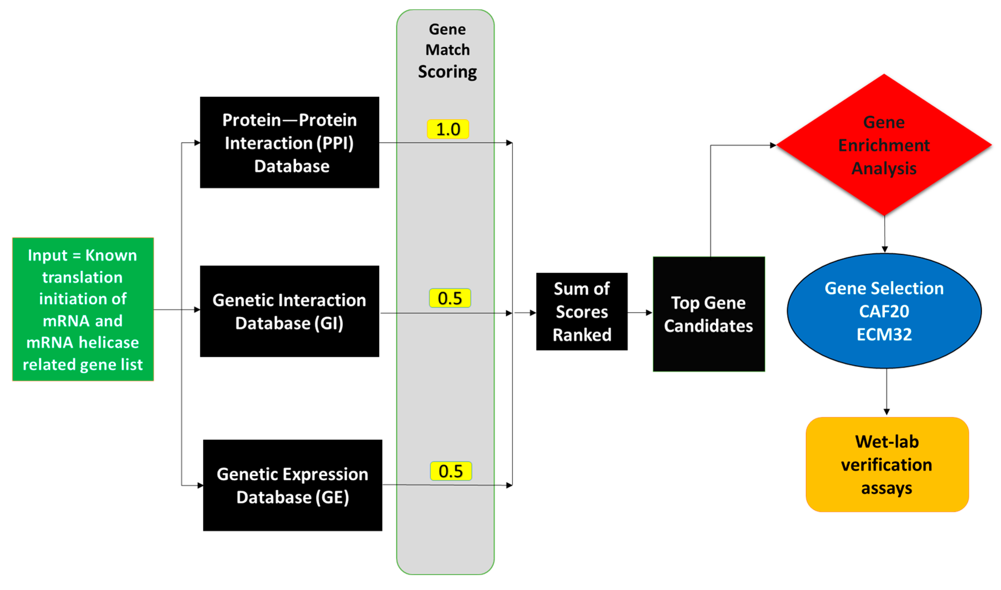 Biology 13 00884 g001 Biology 13 00884 g001