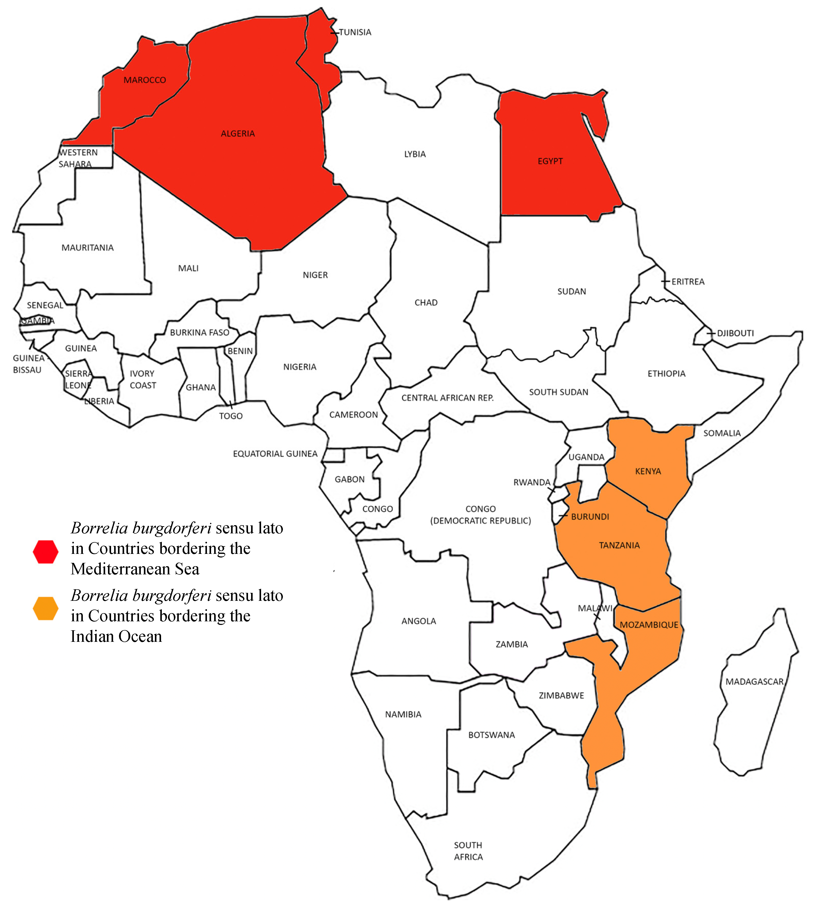 Biology 13 00897 g001 Biology 13 00897 g001