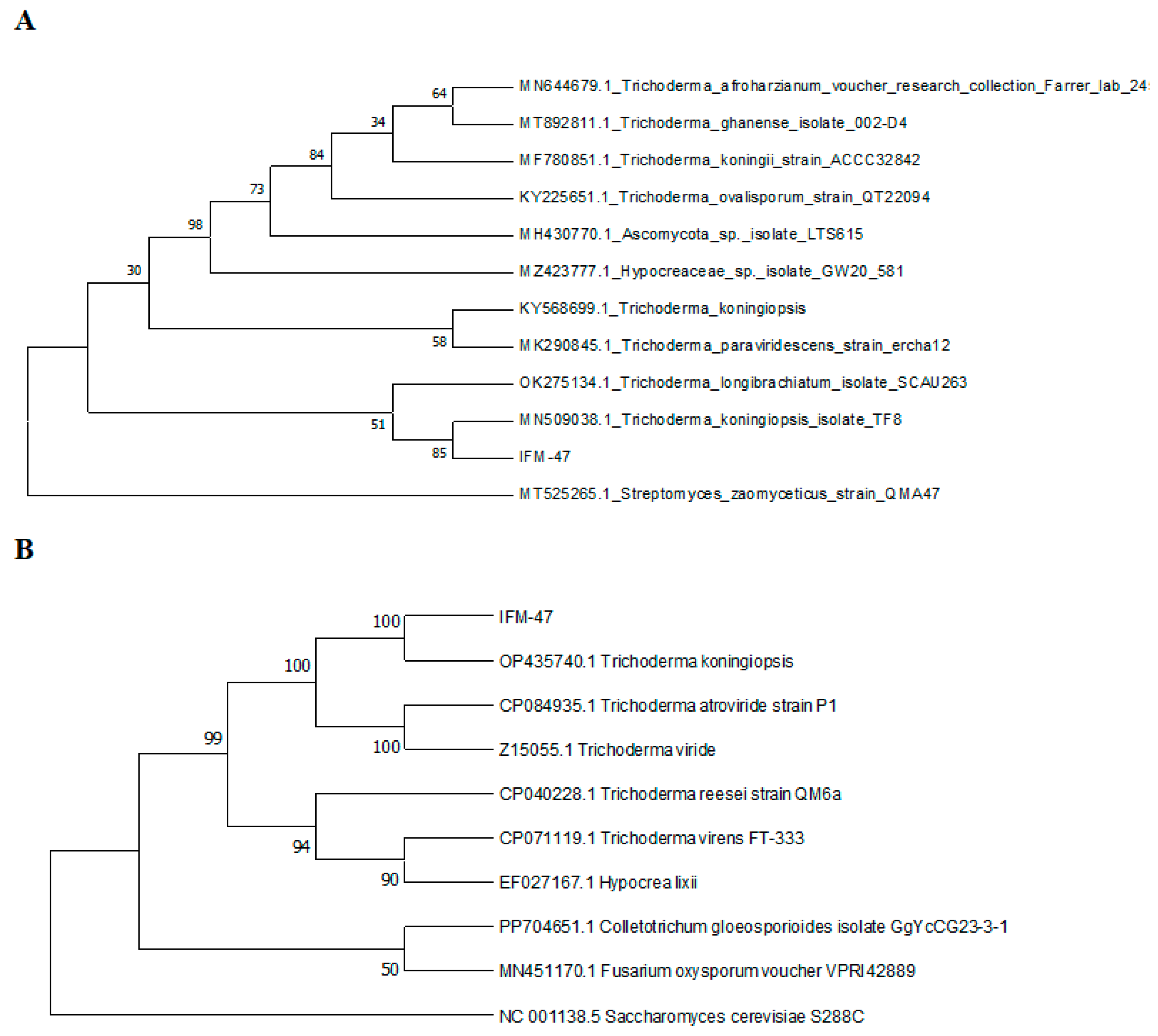 Biology 13 00940 g008