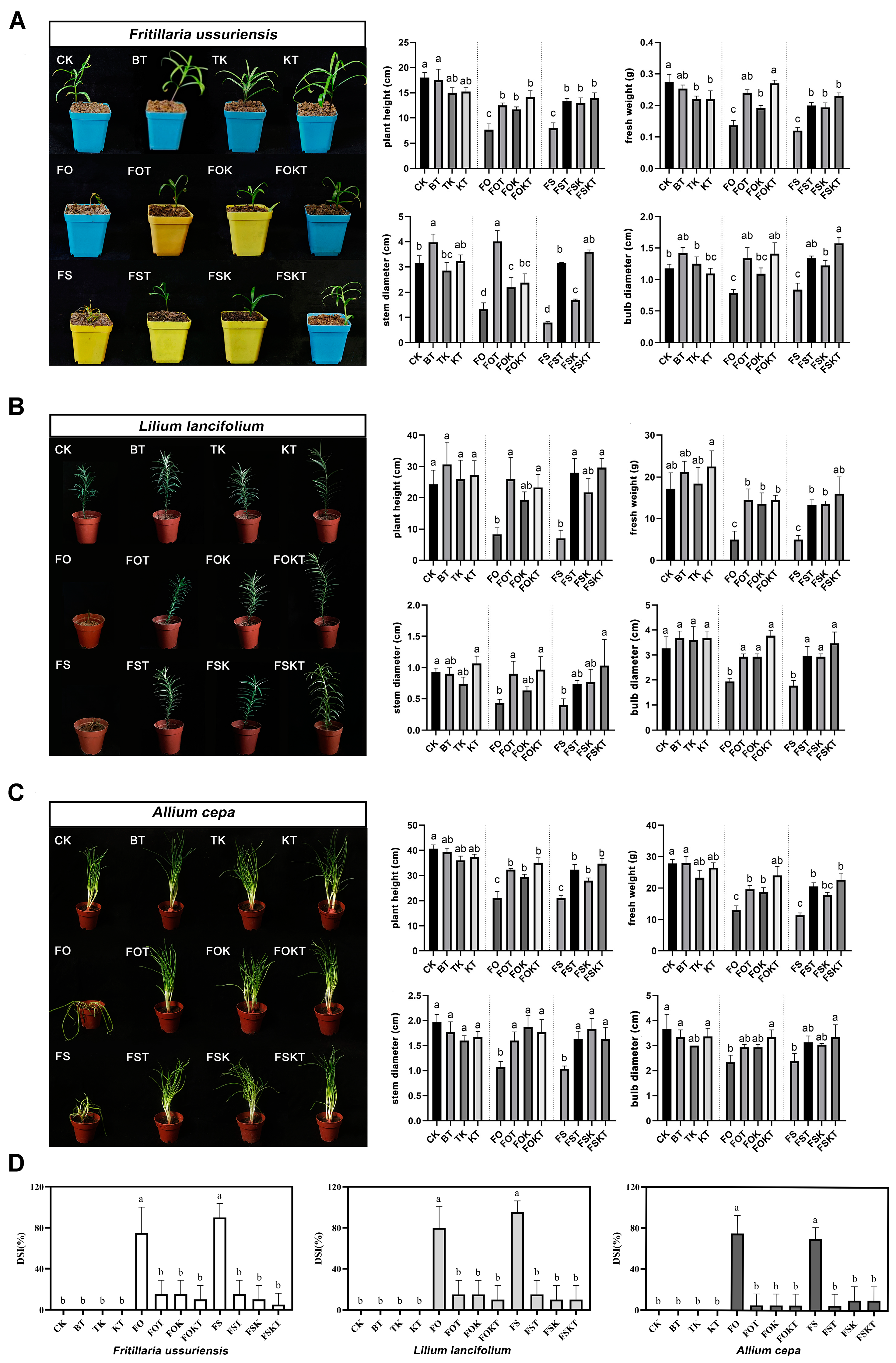 Biology 13 00940 g010