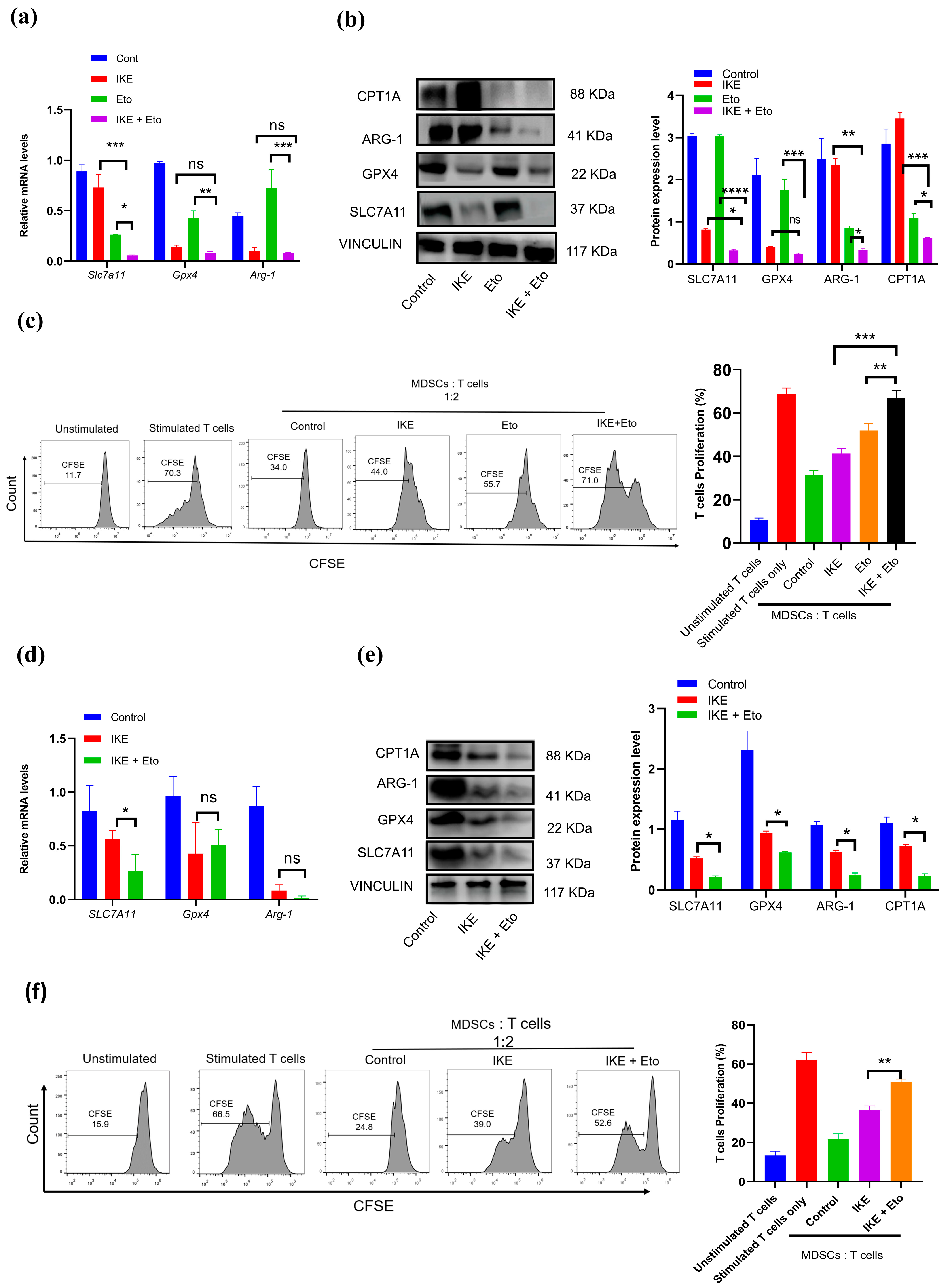 Biology 13 00949 g003