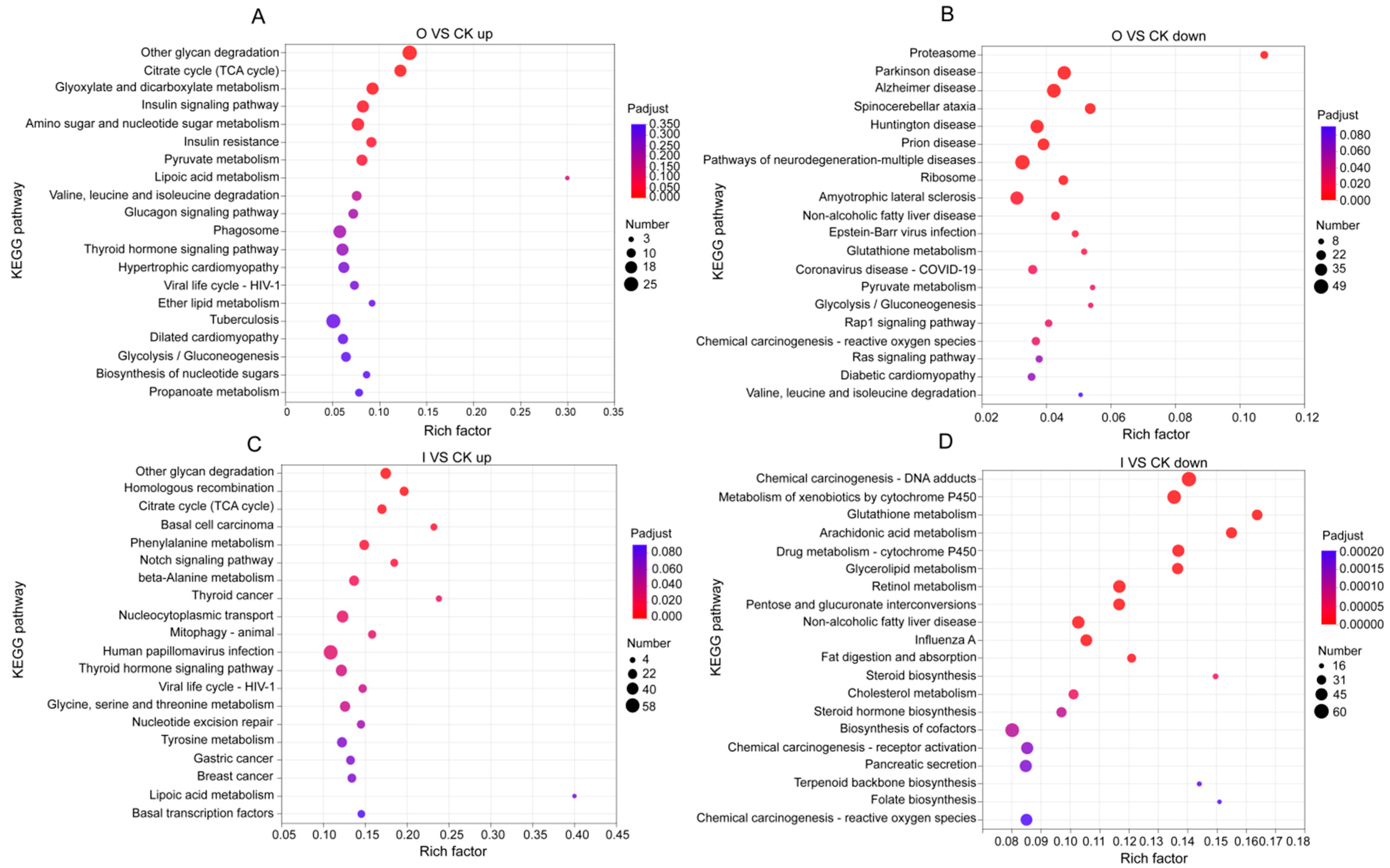 Biology 13 00950 g004