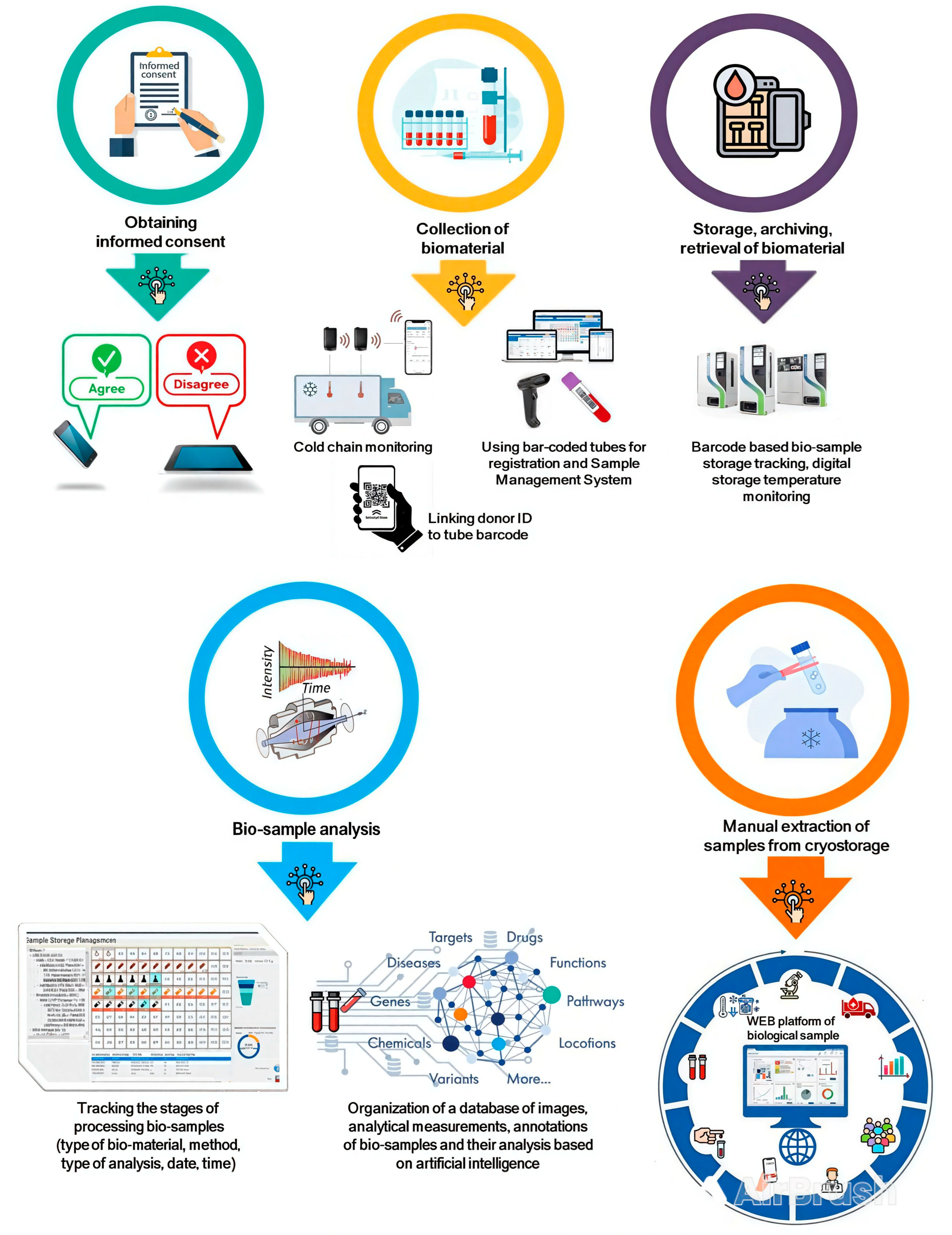 Biology 13 00957 g003