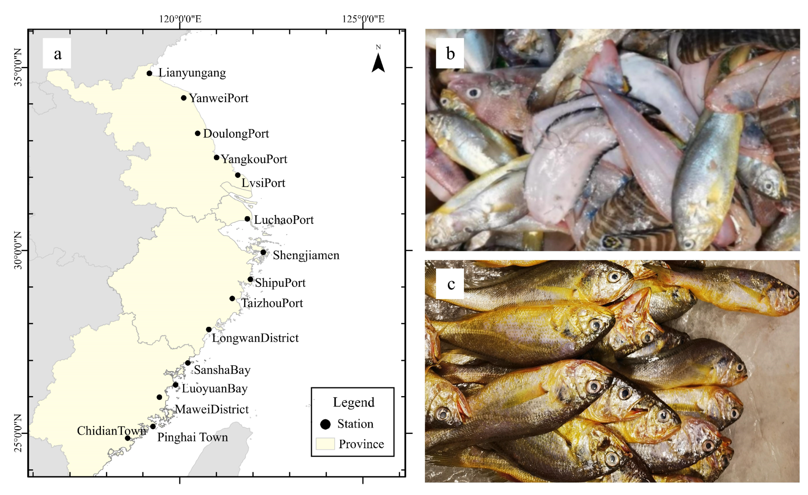 Biology 13 00963 g001