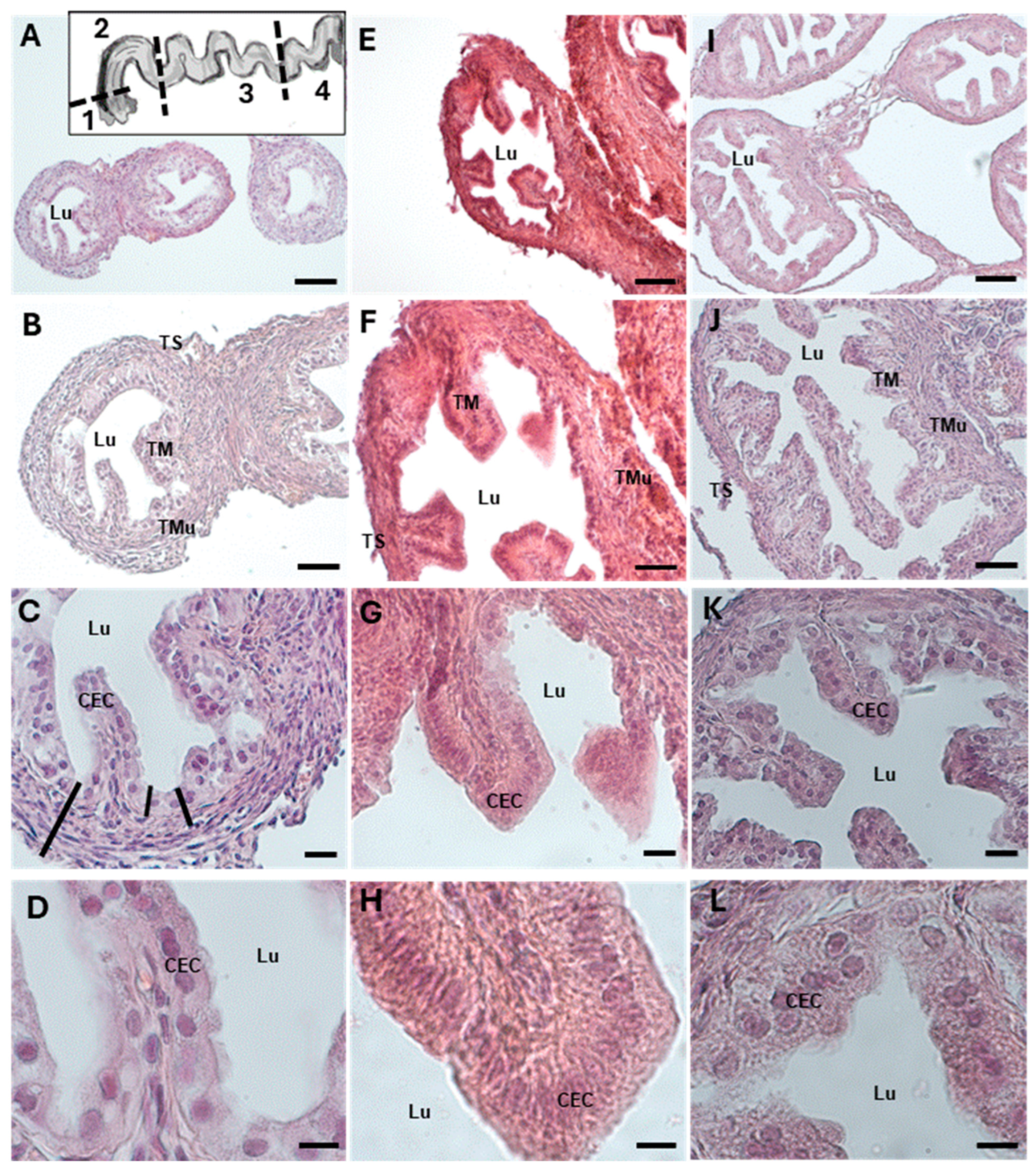 Biology 13 00964 g001
