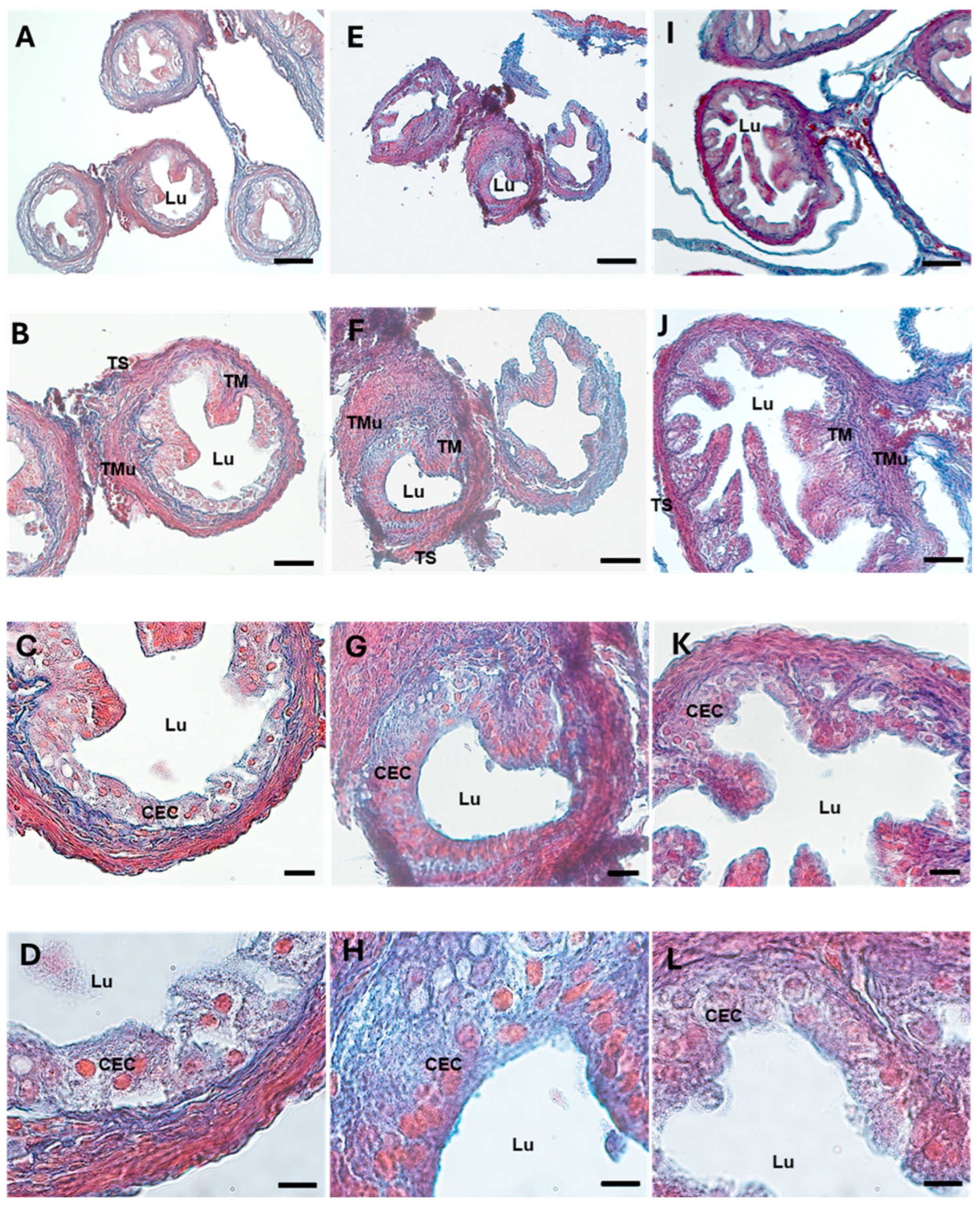 Biology 13 00964 g002