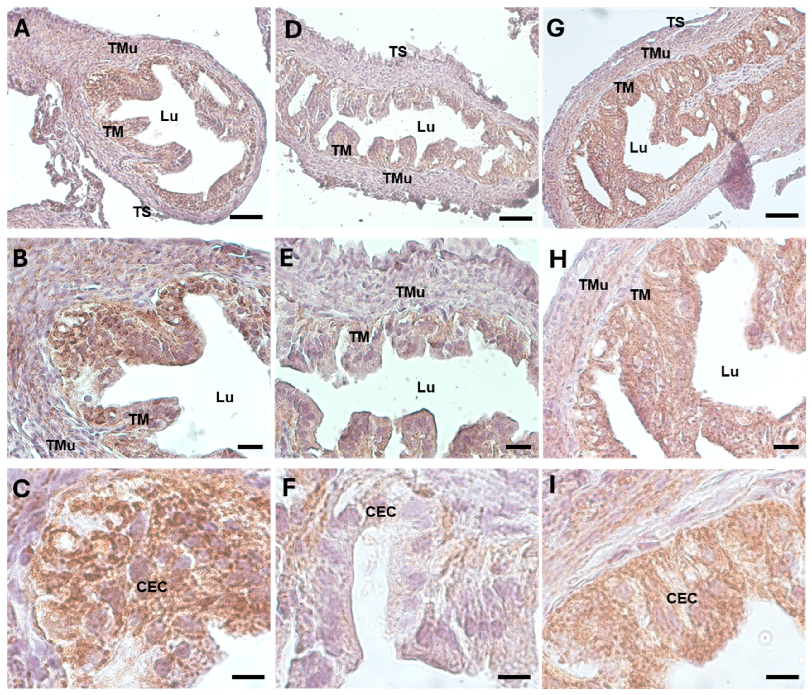 Biology 13 00964 g006
