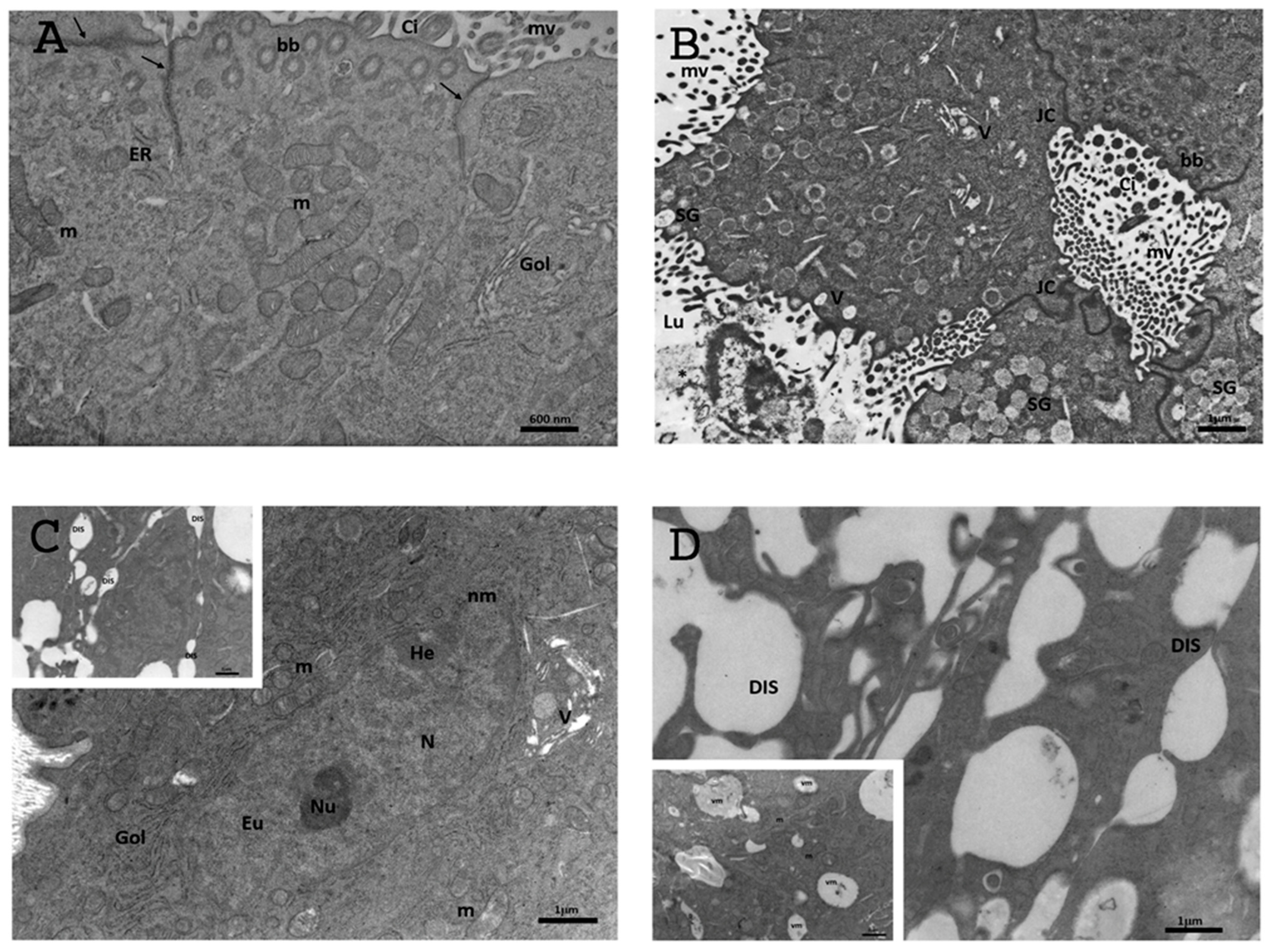 Biology 13 00964 g009
