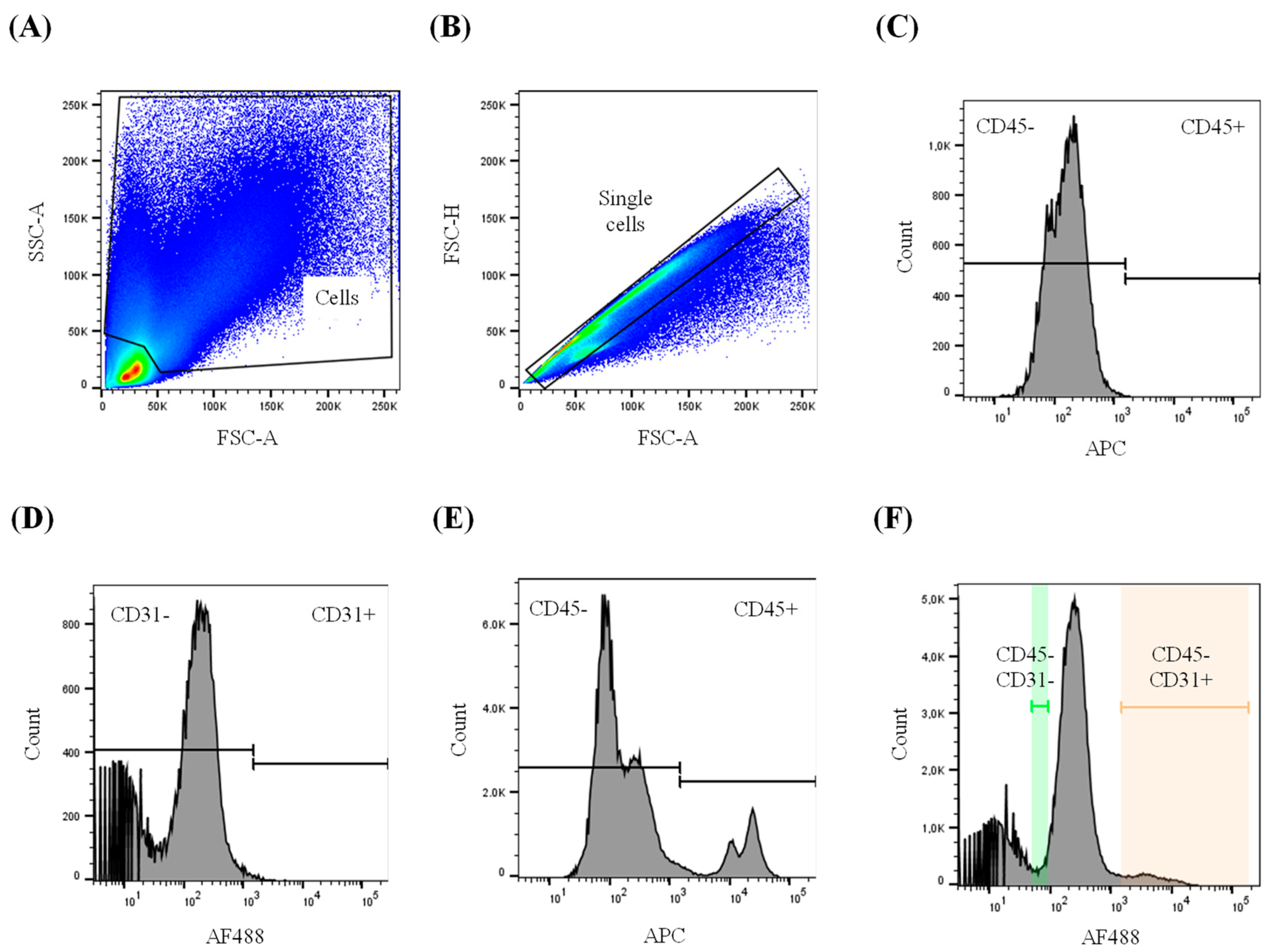 Biology 13 00965 g001 Biology 13 00965 g001