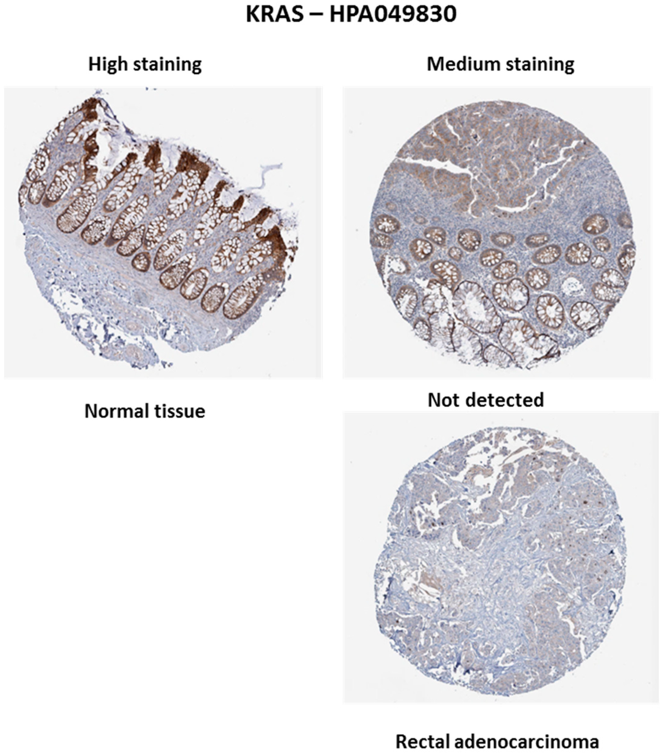 Biology 13 01007 g004 Biology 13 01007 g004