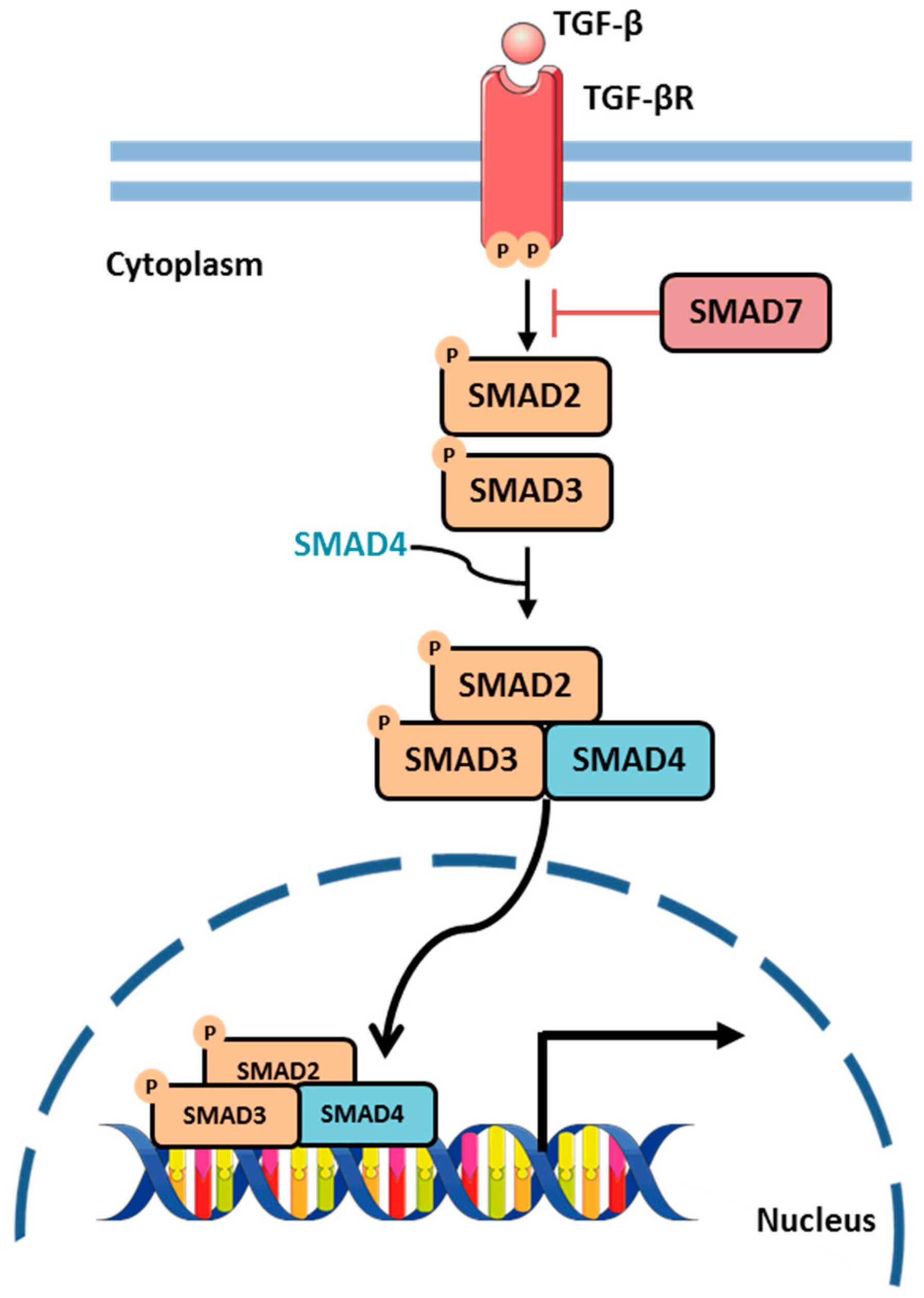 Biology 13 01007 g009 Biology 13 01007 g009