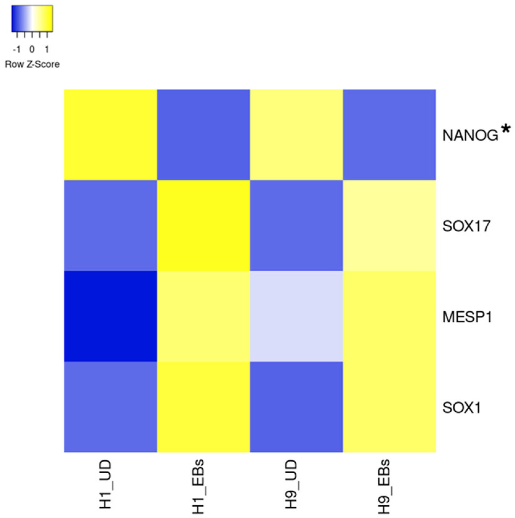 Biology 13 01043 g001