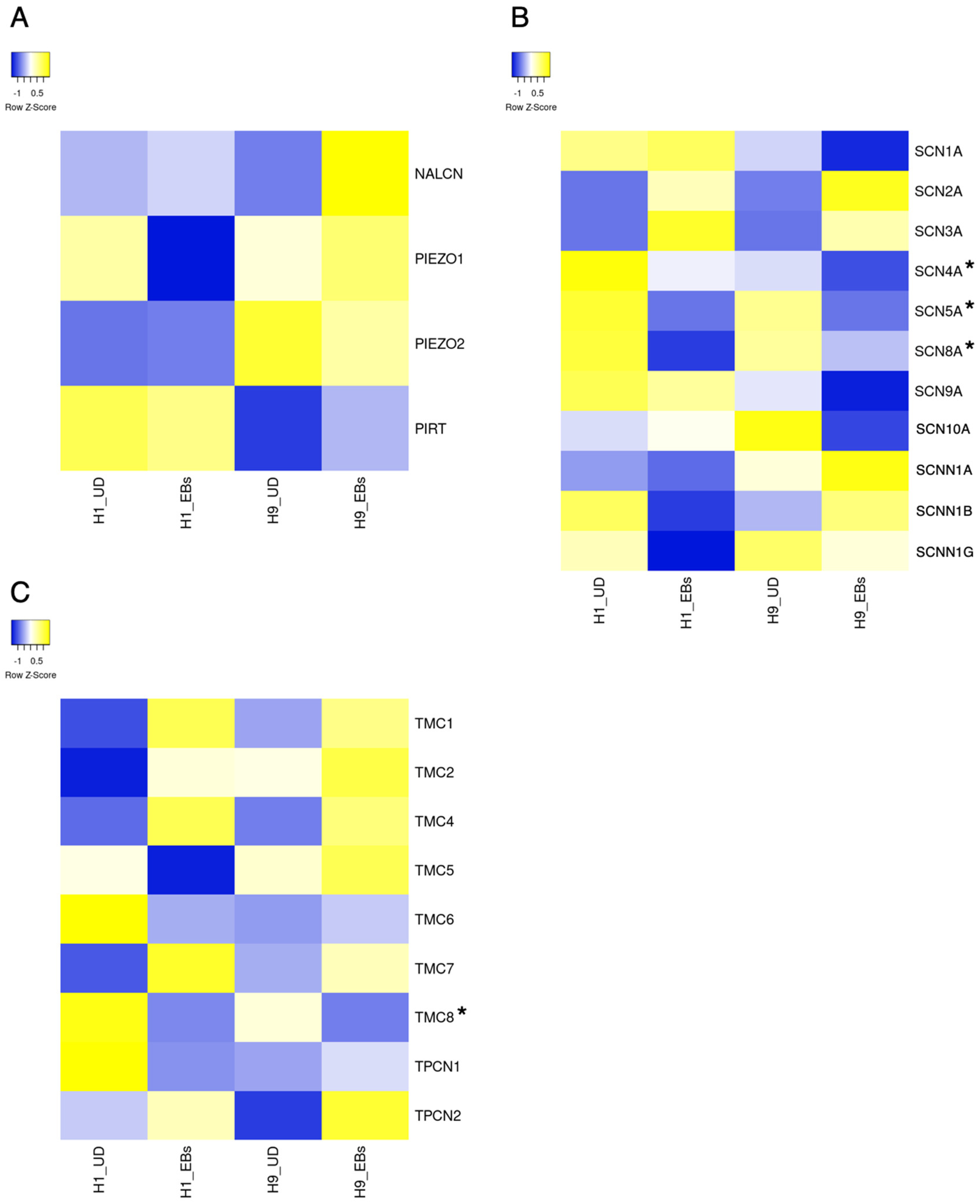 Biology 13 01043 g004
