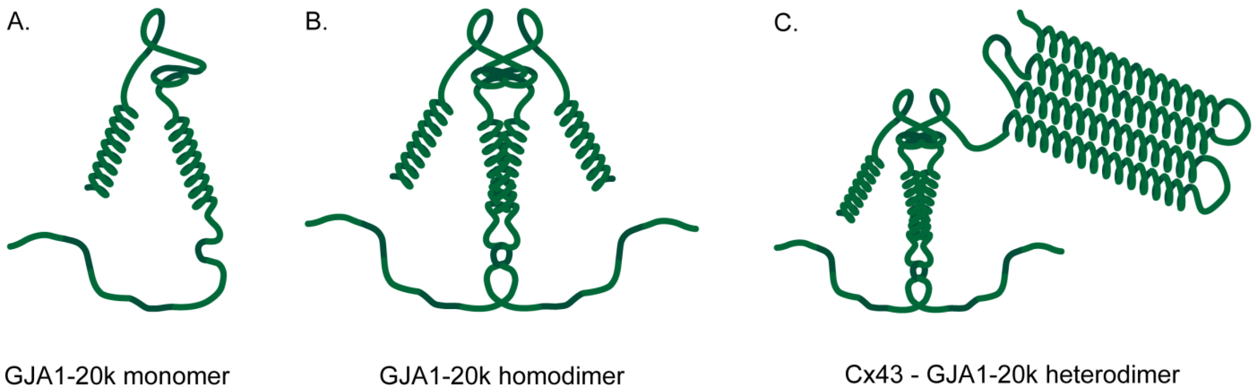 Biology 13 01046 g001