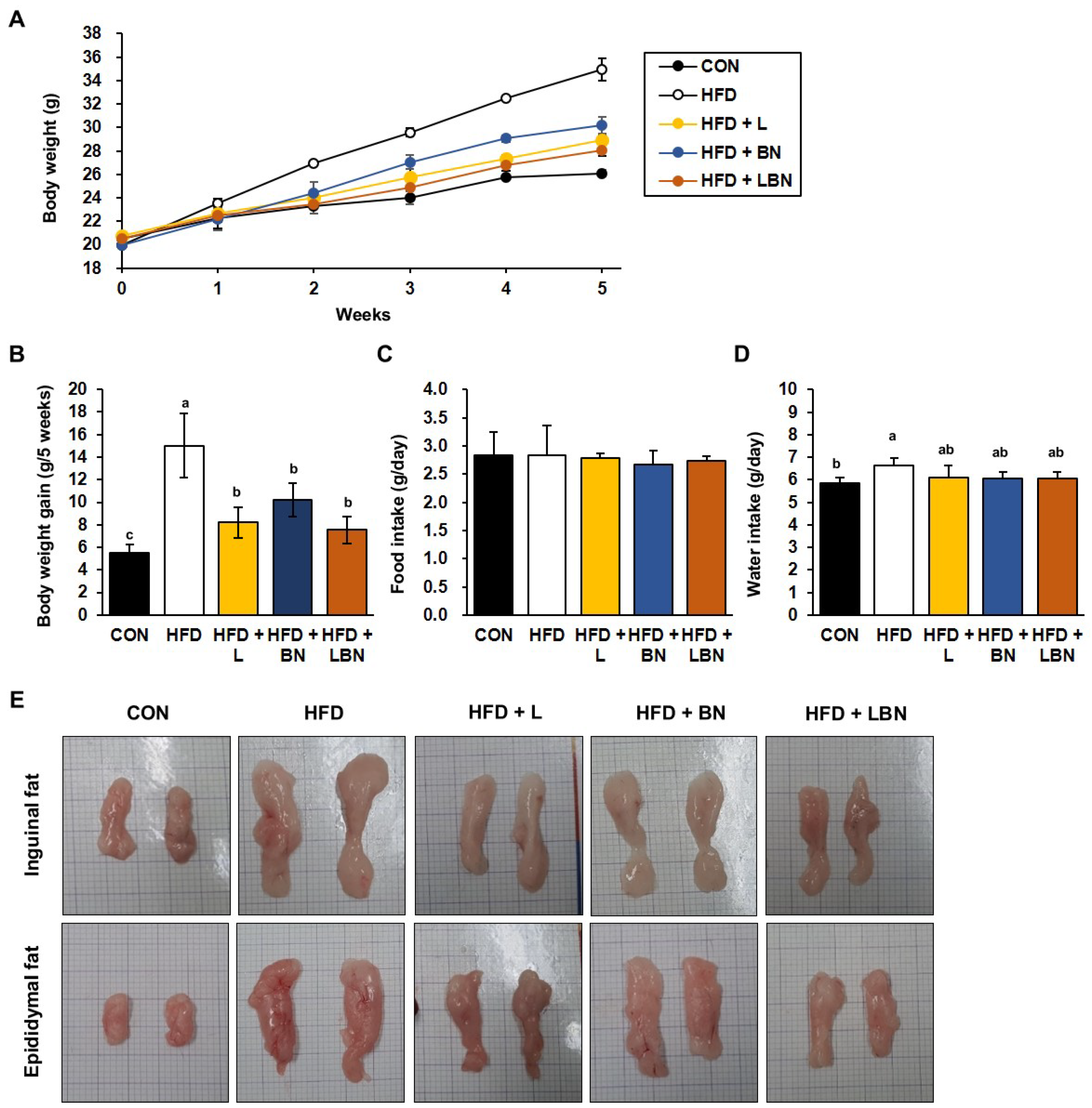Biology 13 01047 g001