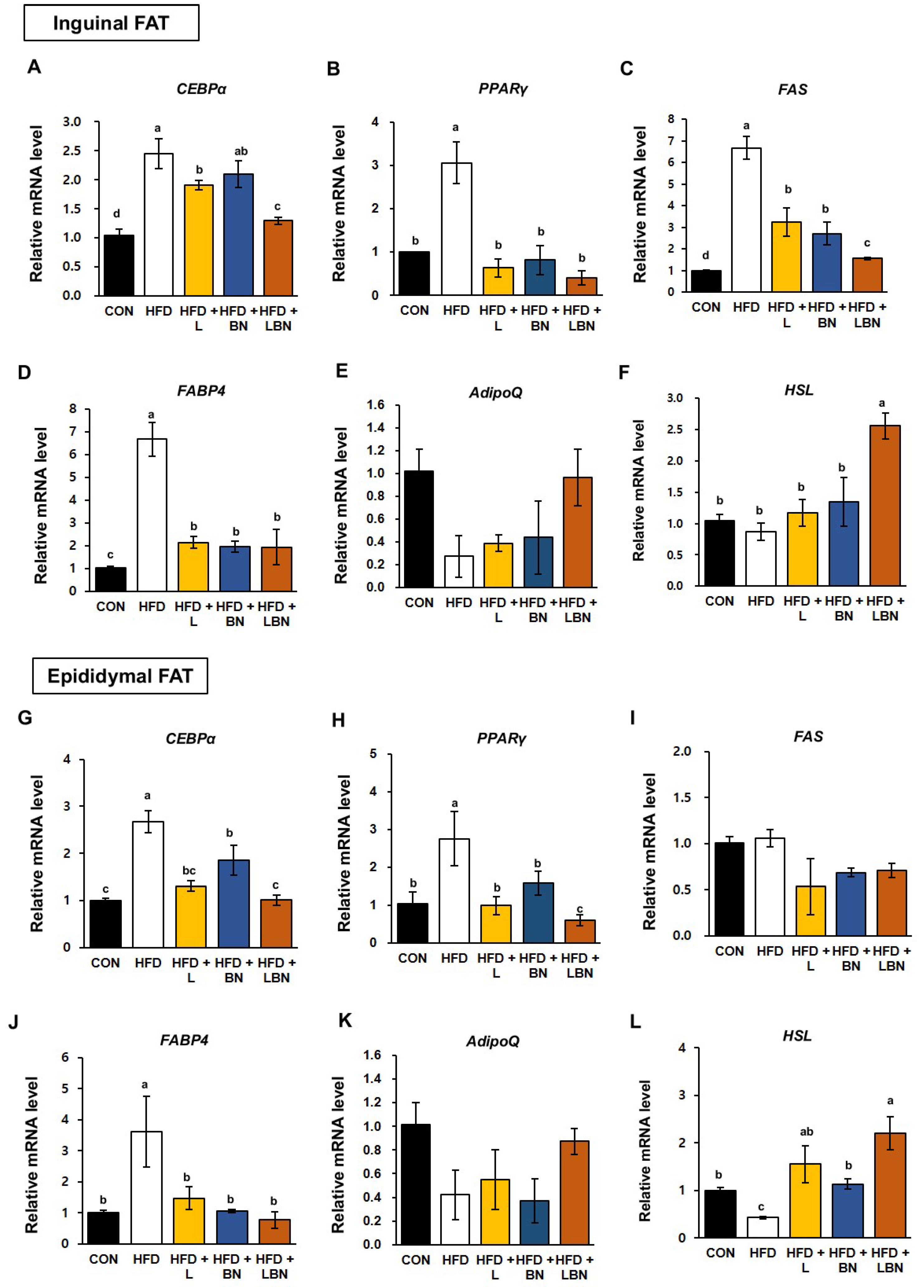 Biology 13 01047 g004