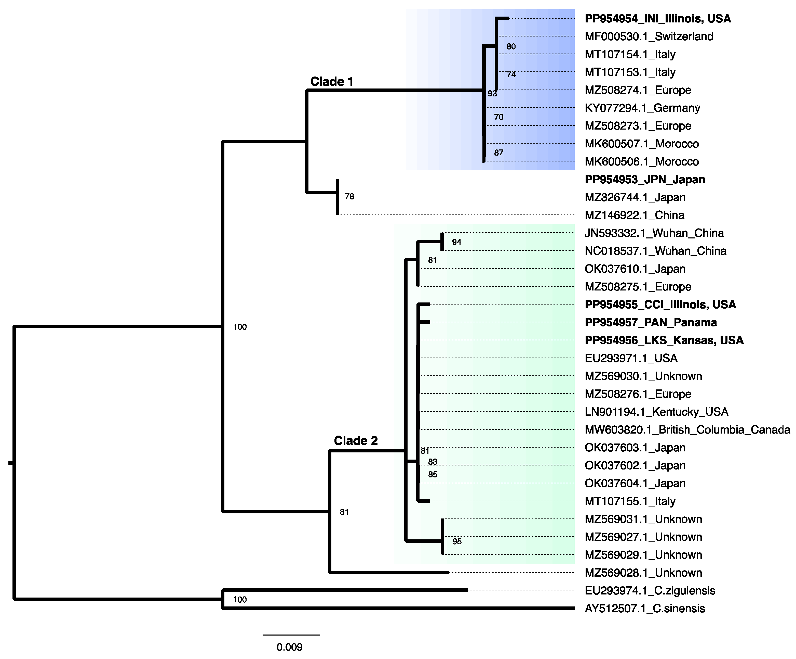 Biology 13 01069 g003