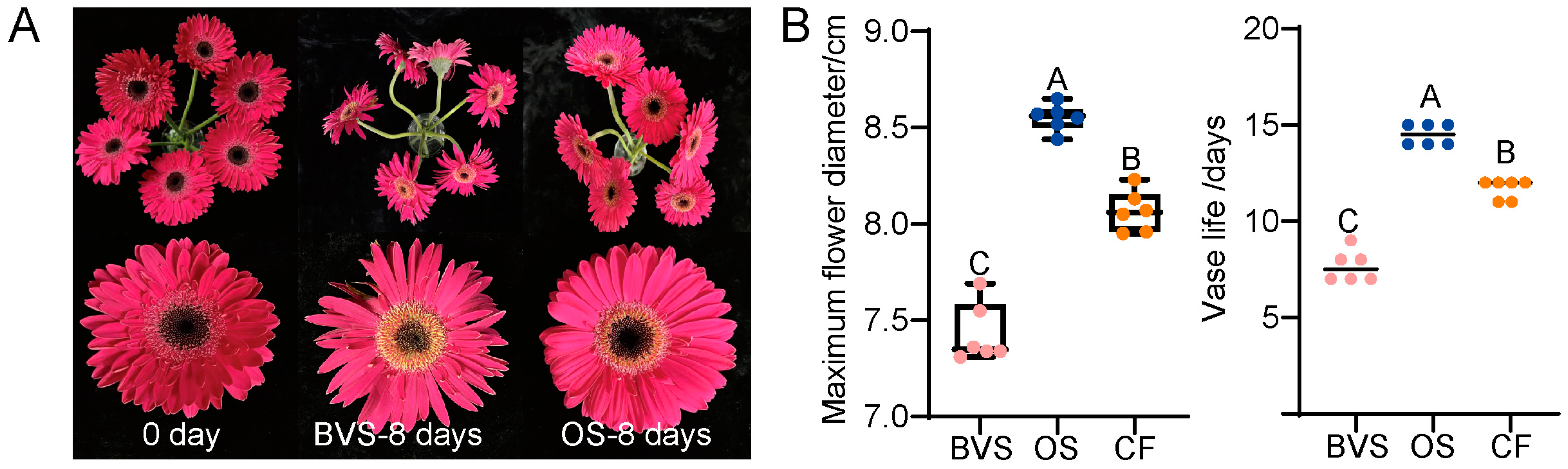 Biology 14 00018 g003
