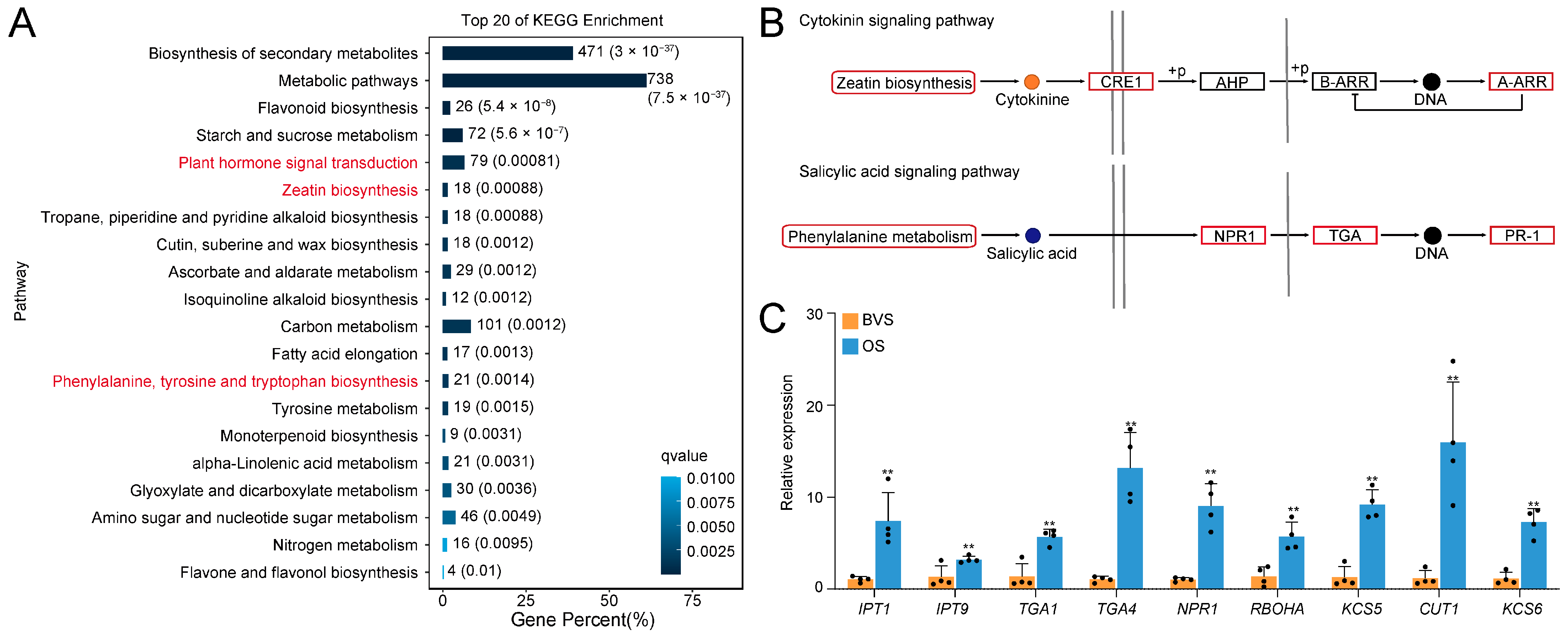 Biology 14 00018 g006