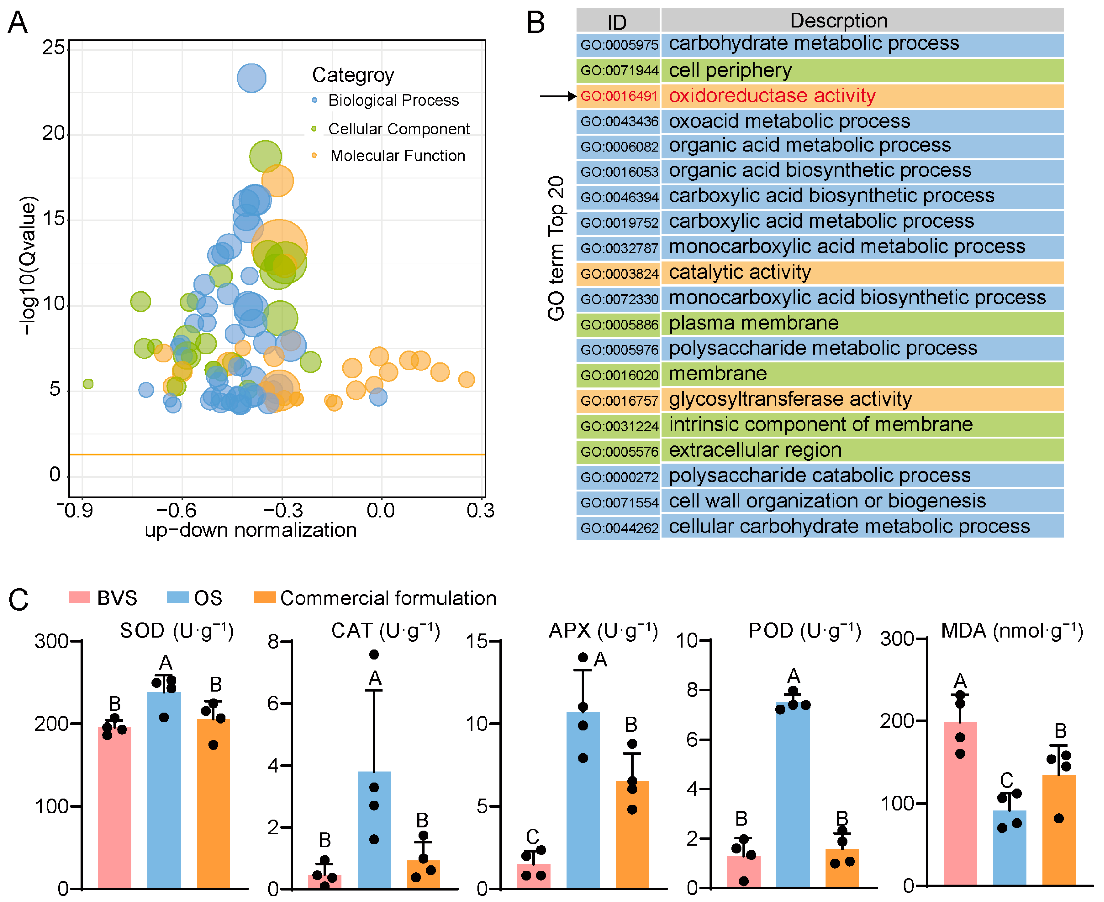 Biology 14 00018 g007