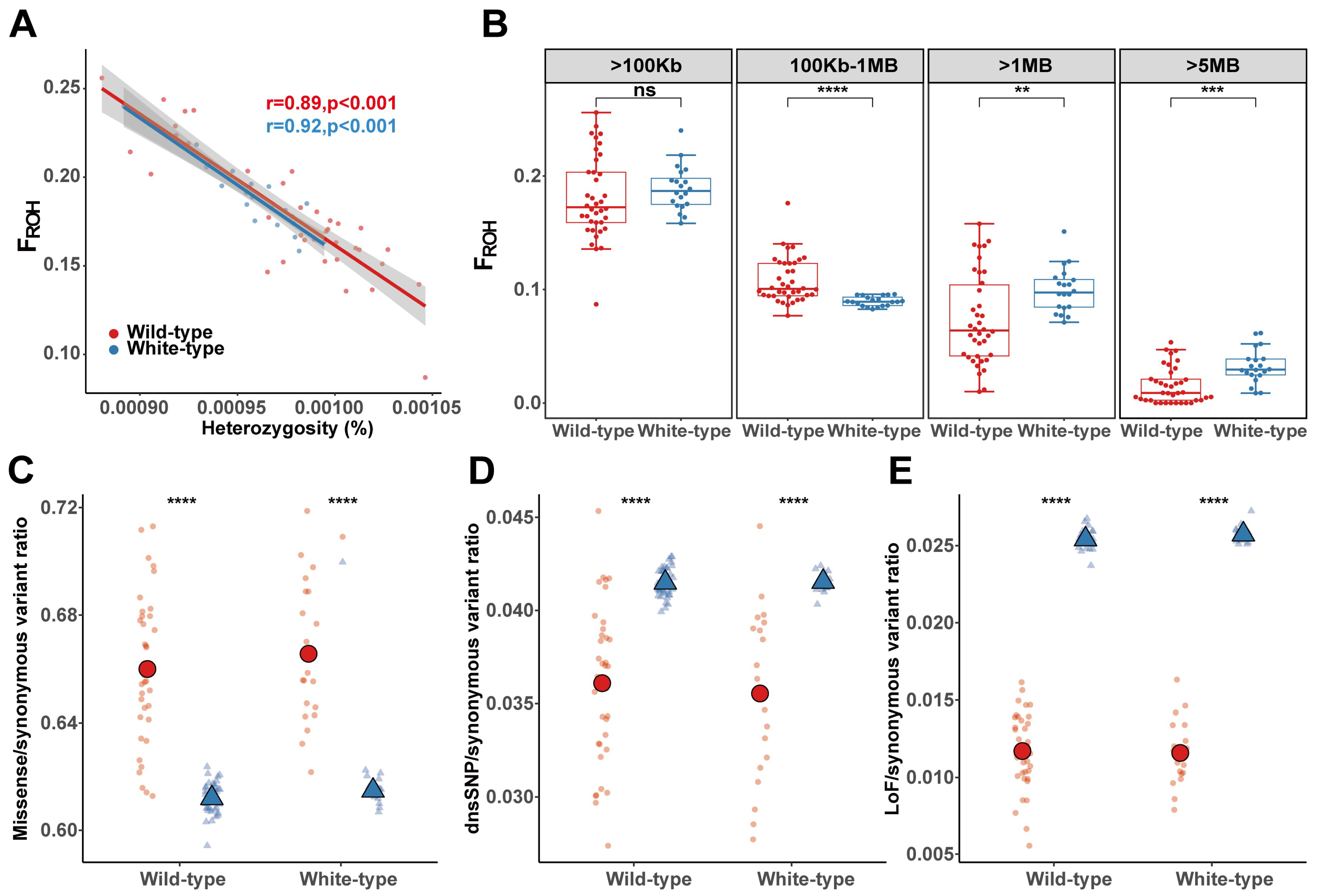 Biology 14 00030 g004