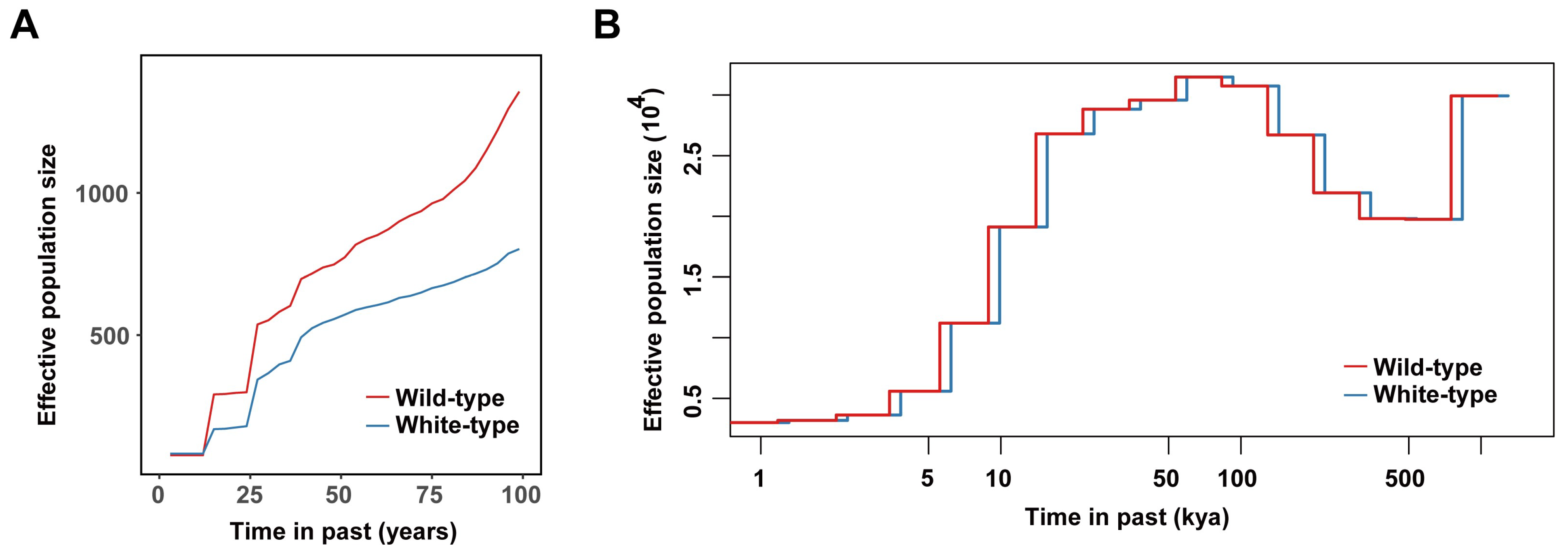 Biology 14 00030 g005