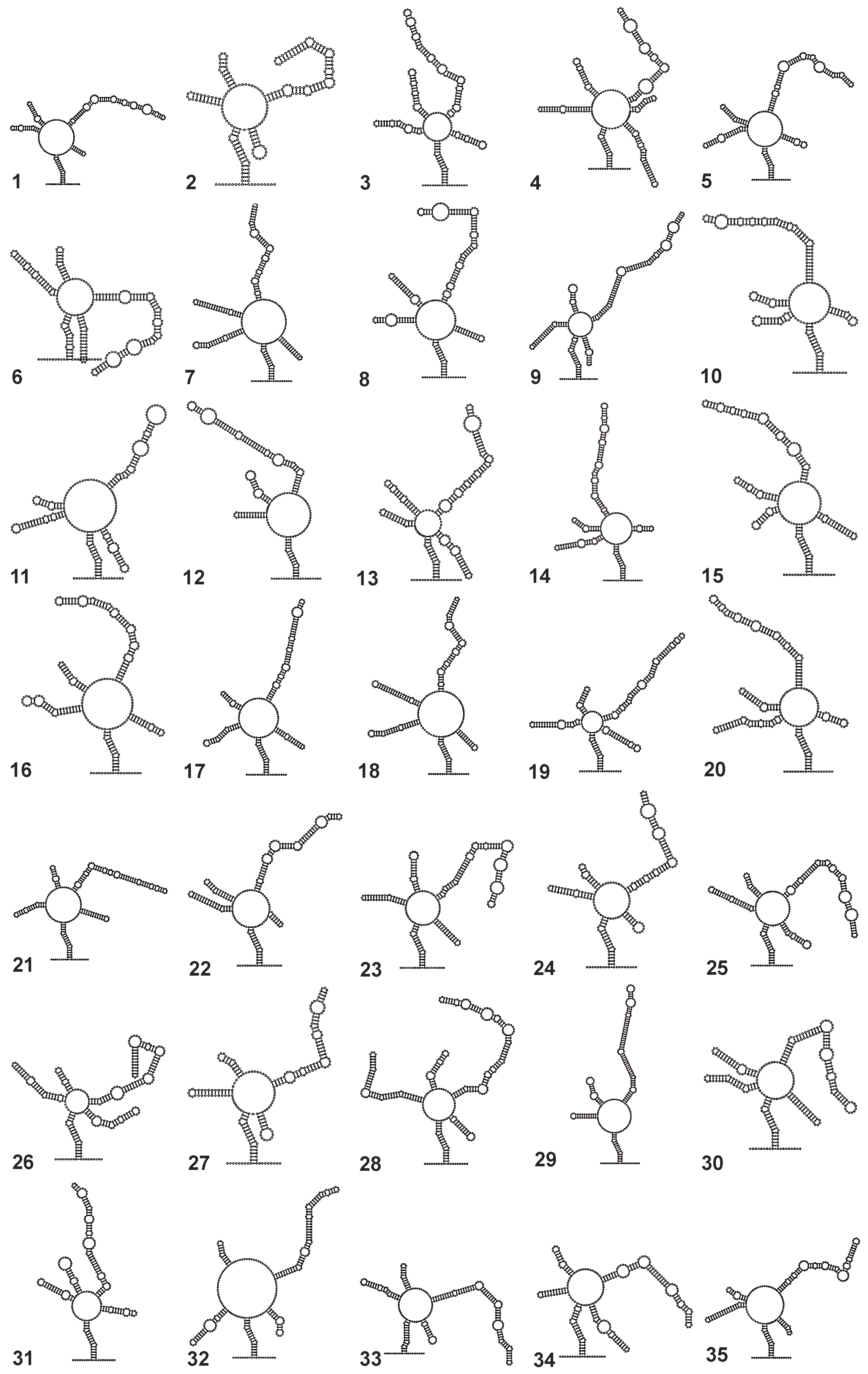 Biology 14 00036 g003