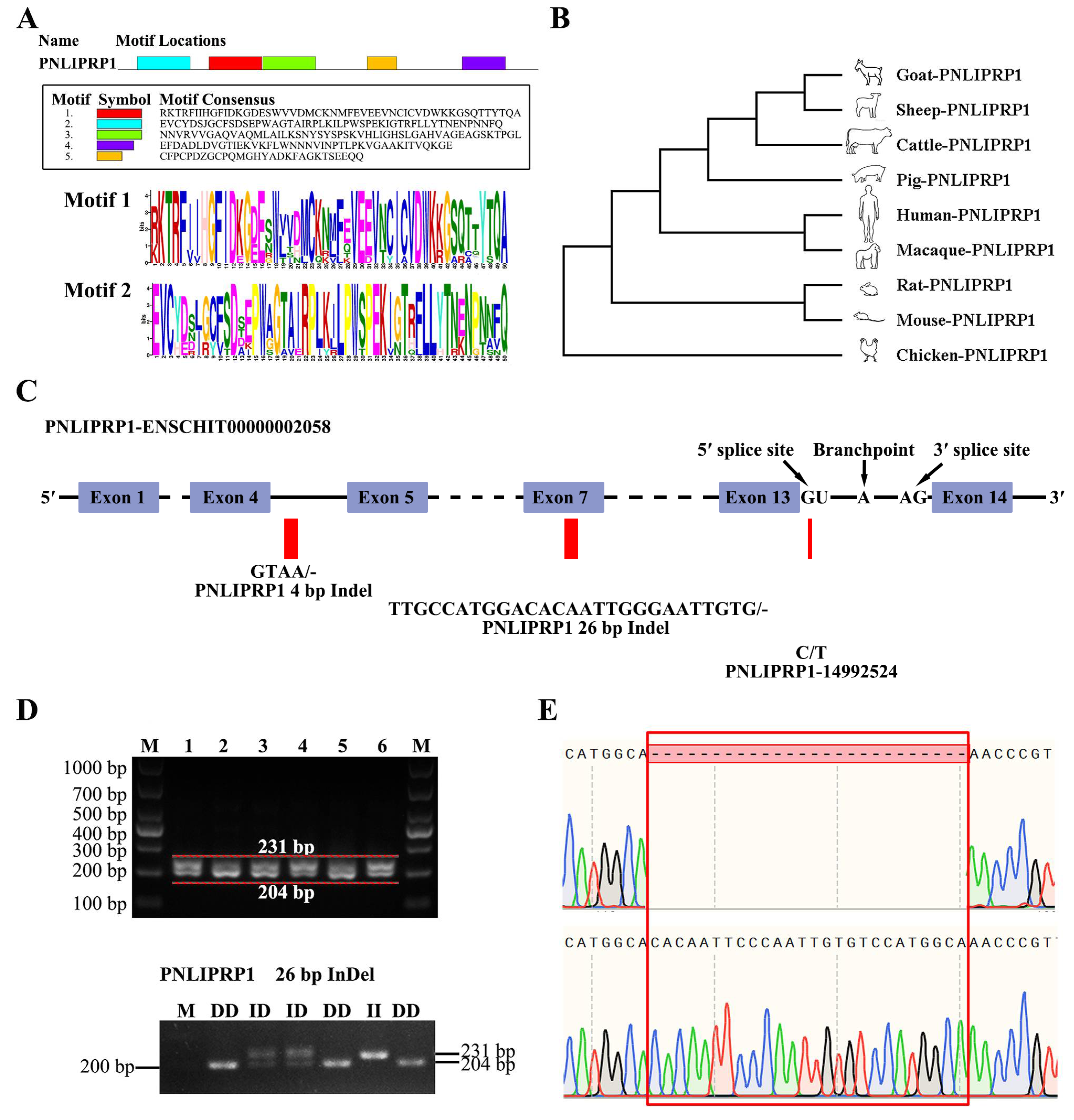 Biology 14 00040 g003