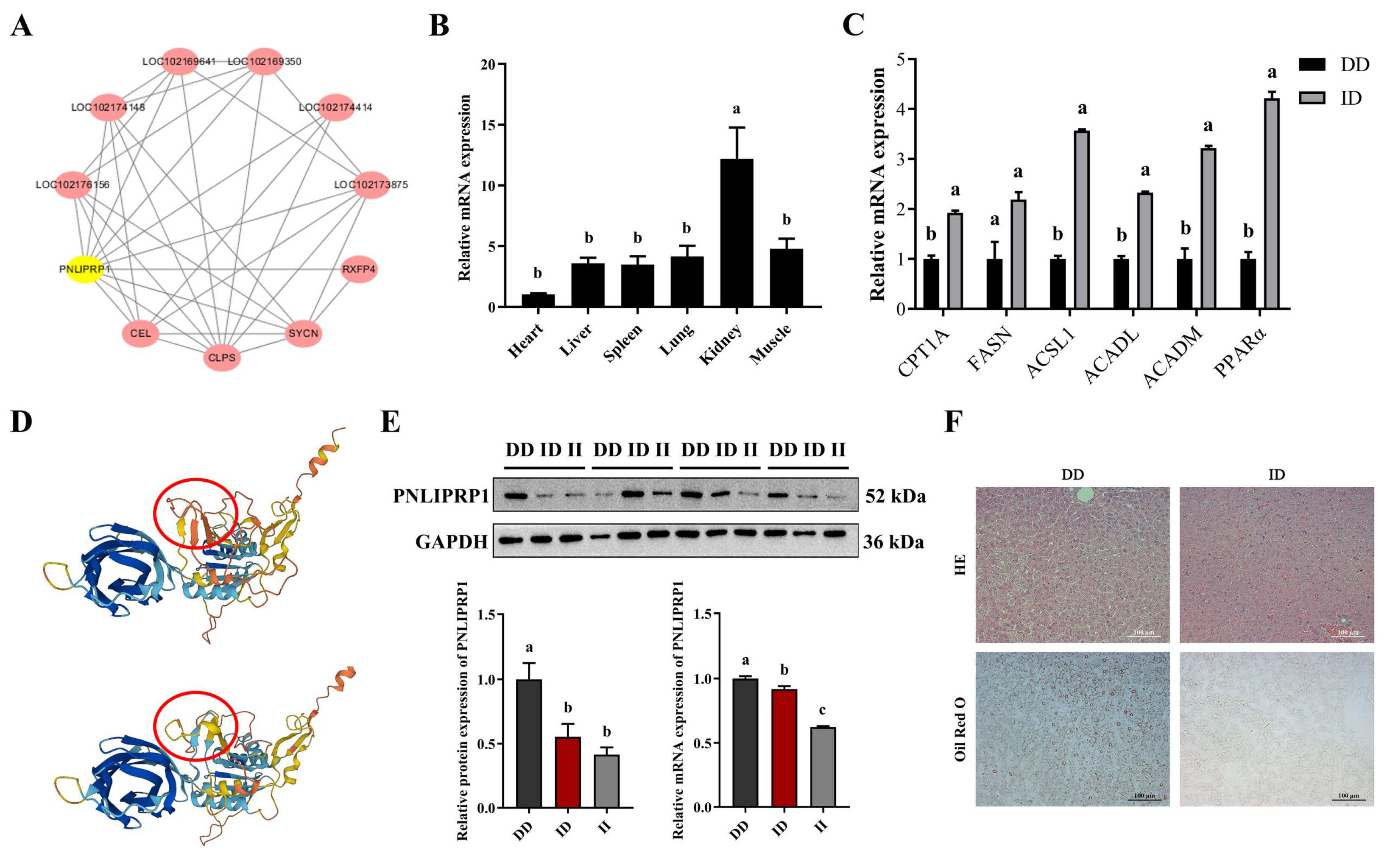 Biology 14 00040 g004