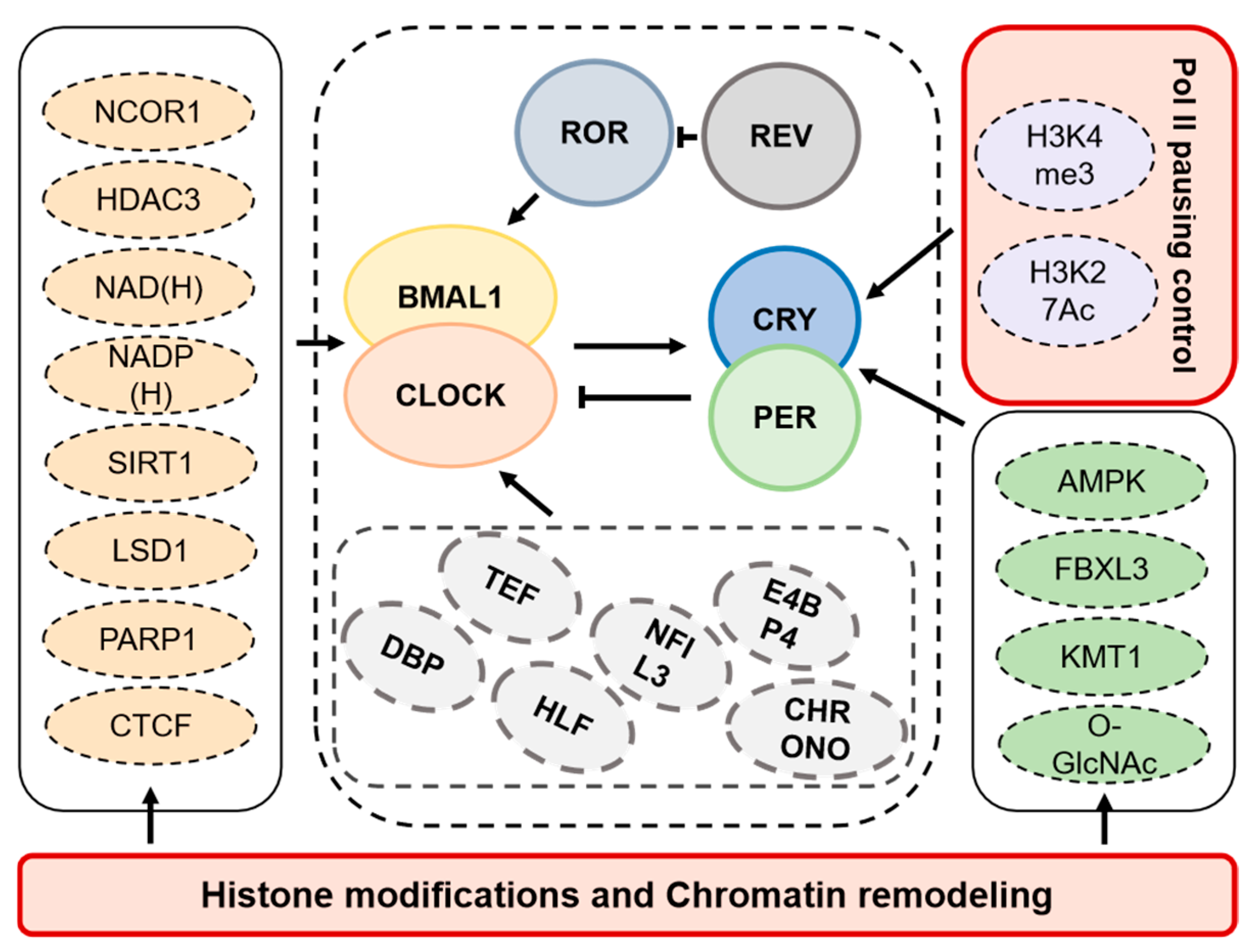 Biology 14 00042 g003