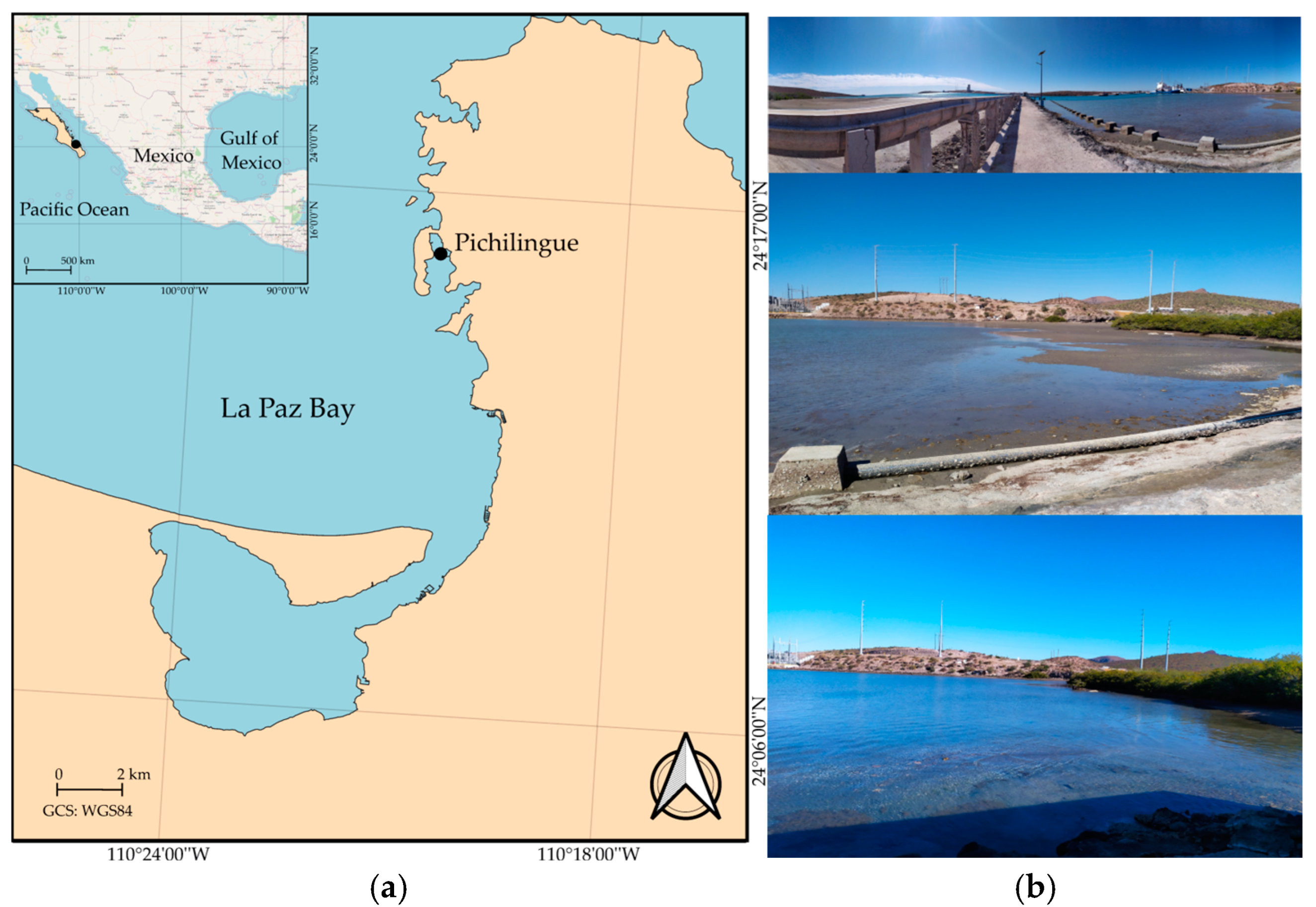 Biology 14 00044 g001 Biology 14 00044 g001