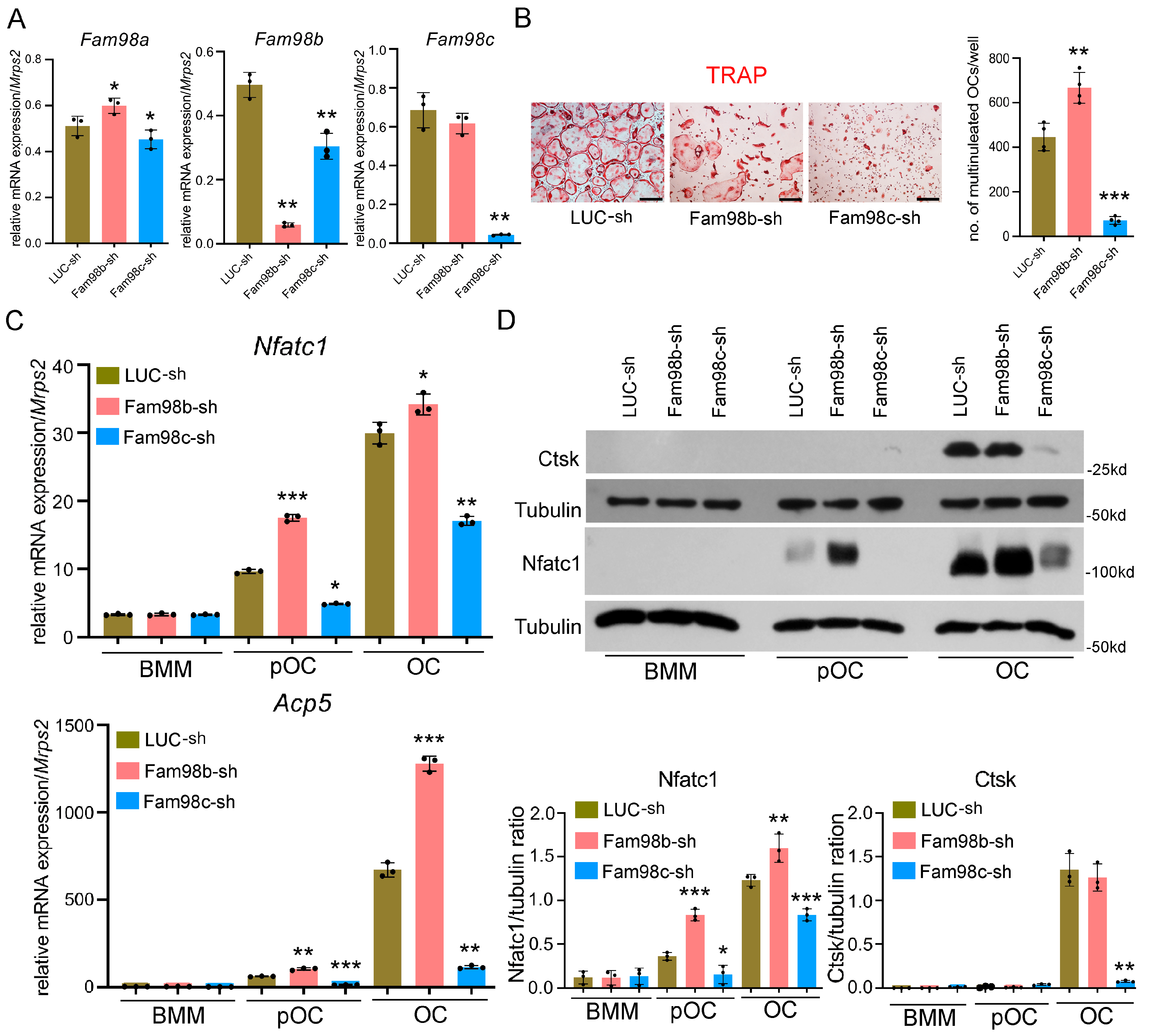 Biology 14 00045 g003