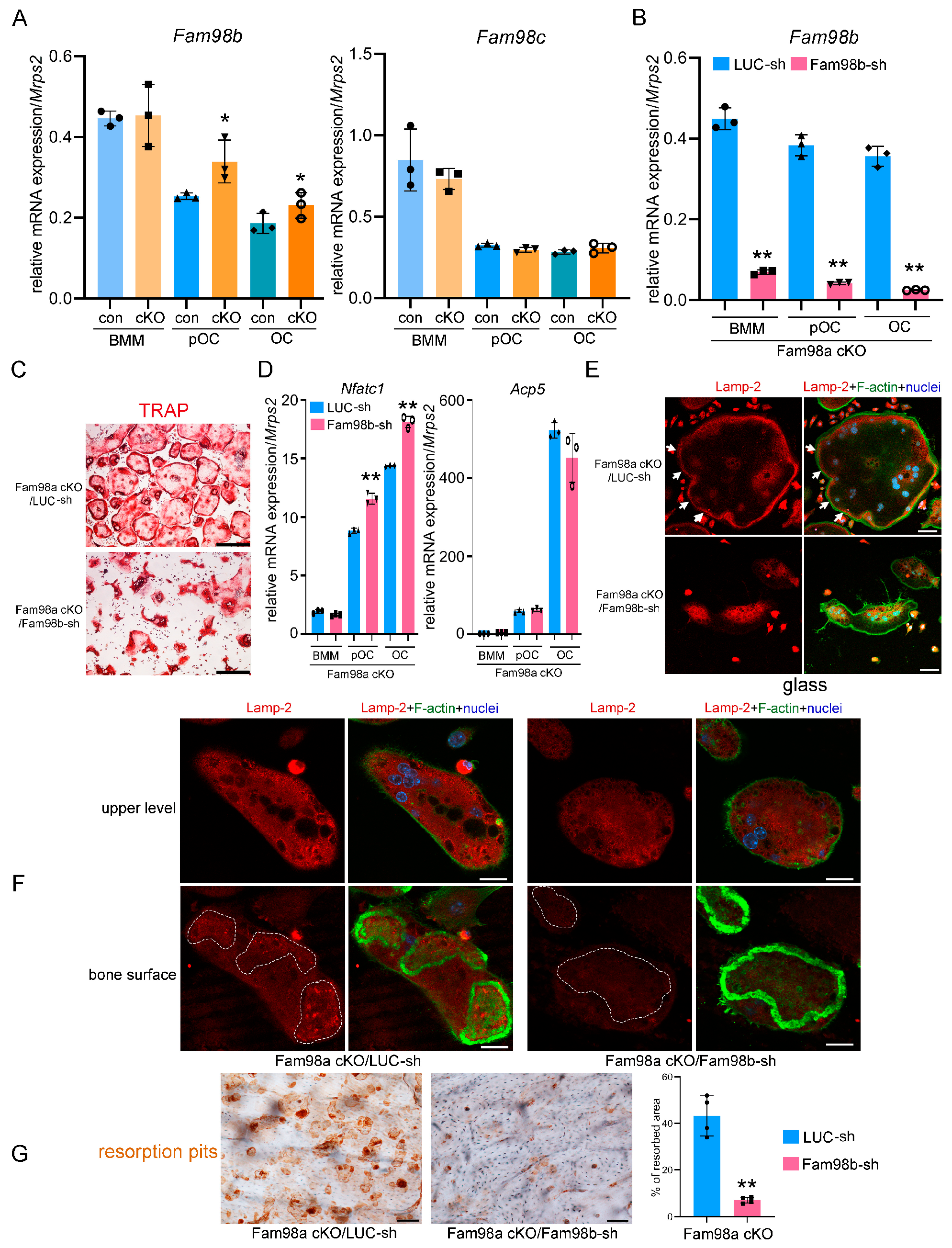 Biology 14 00045 g007