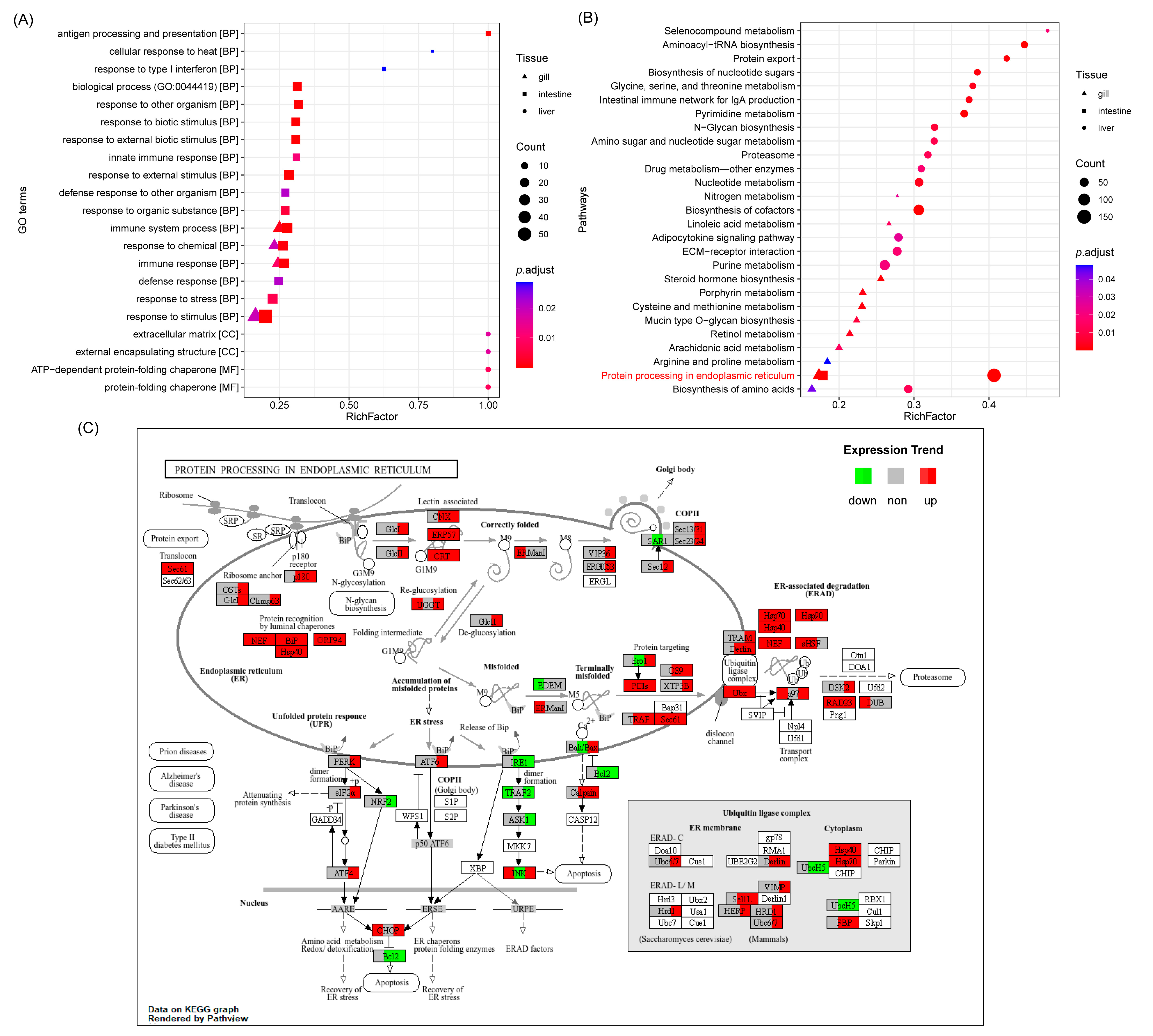 Biology 14 00049 g002