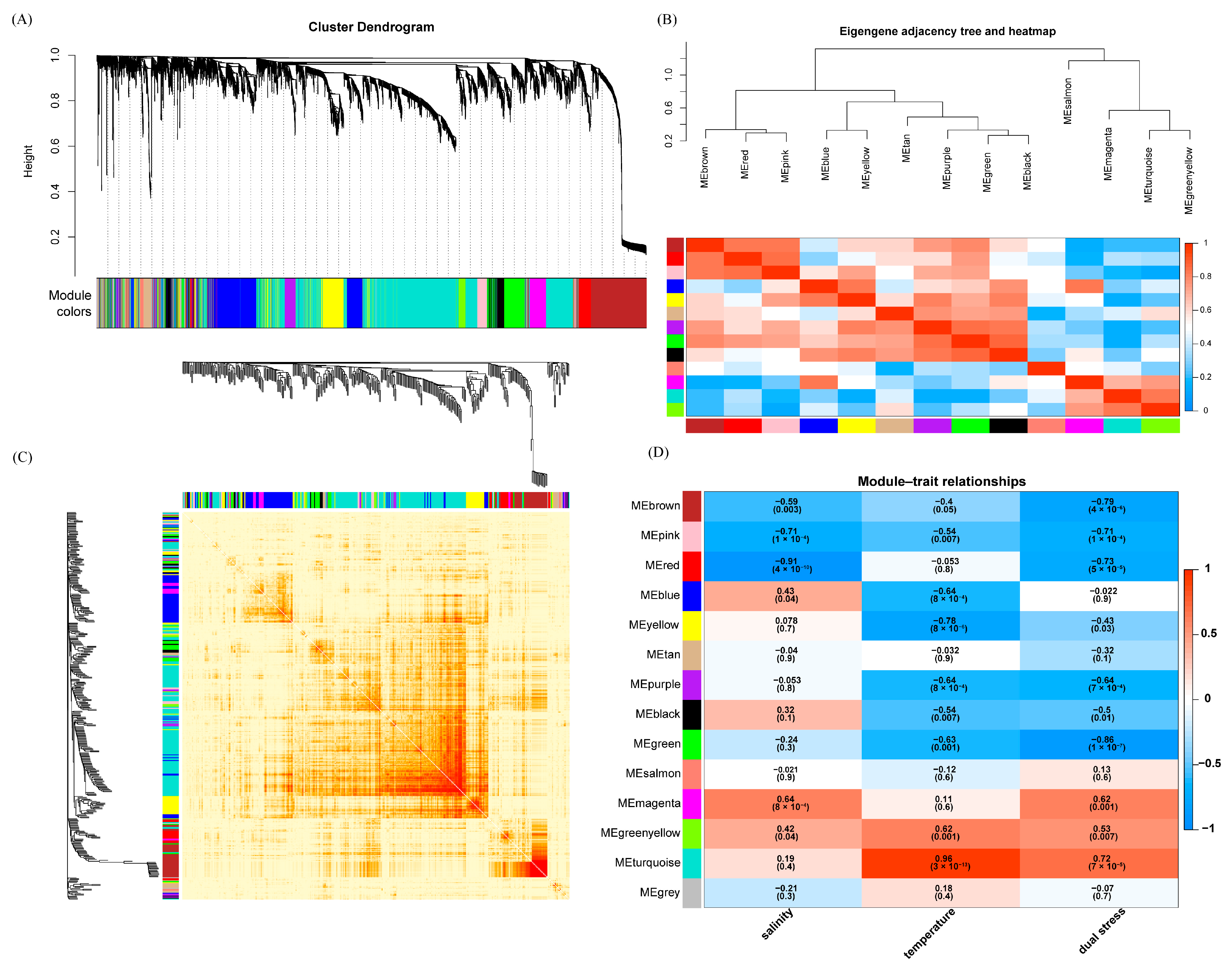 Biology 14 00049 g003