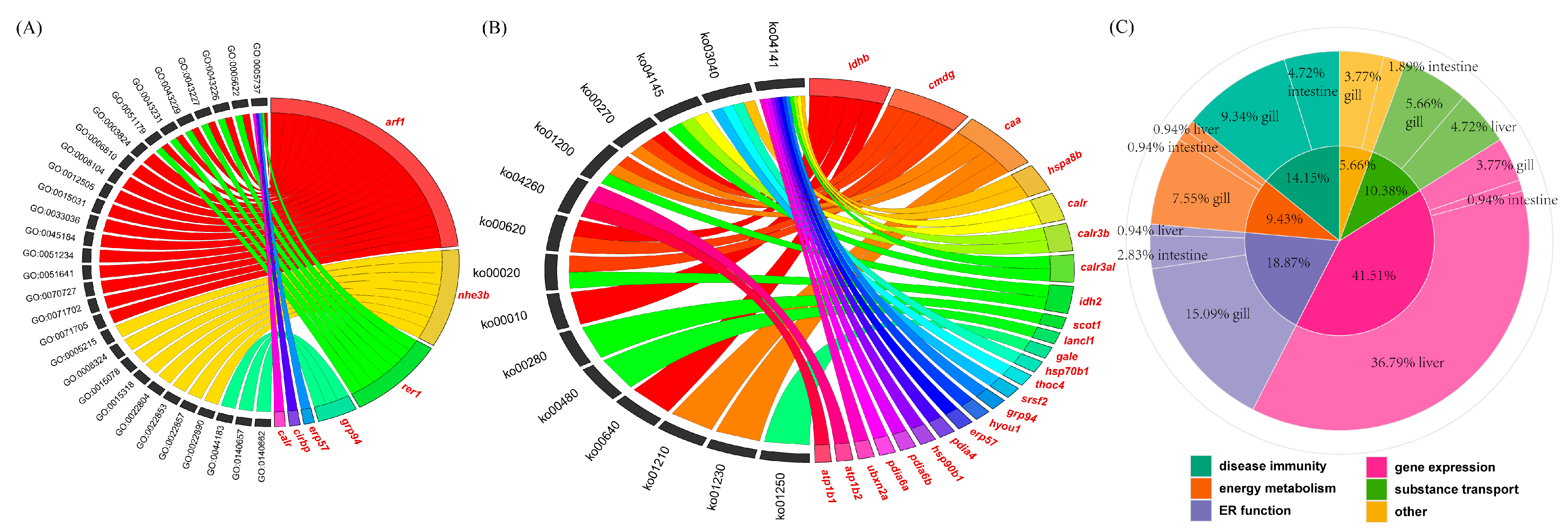 Biology 14 00049 g005
