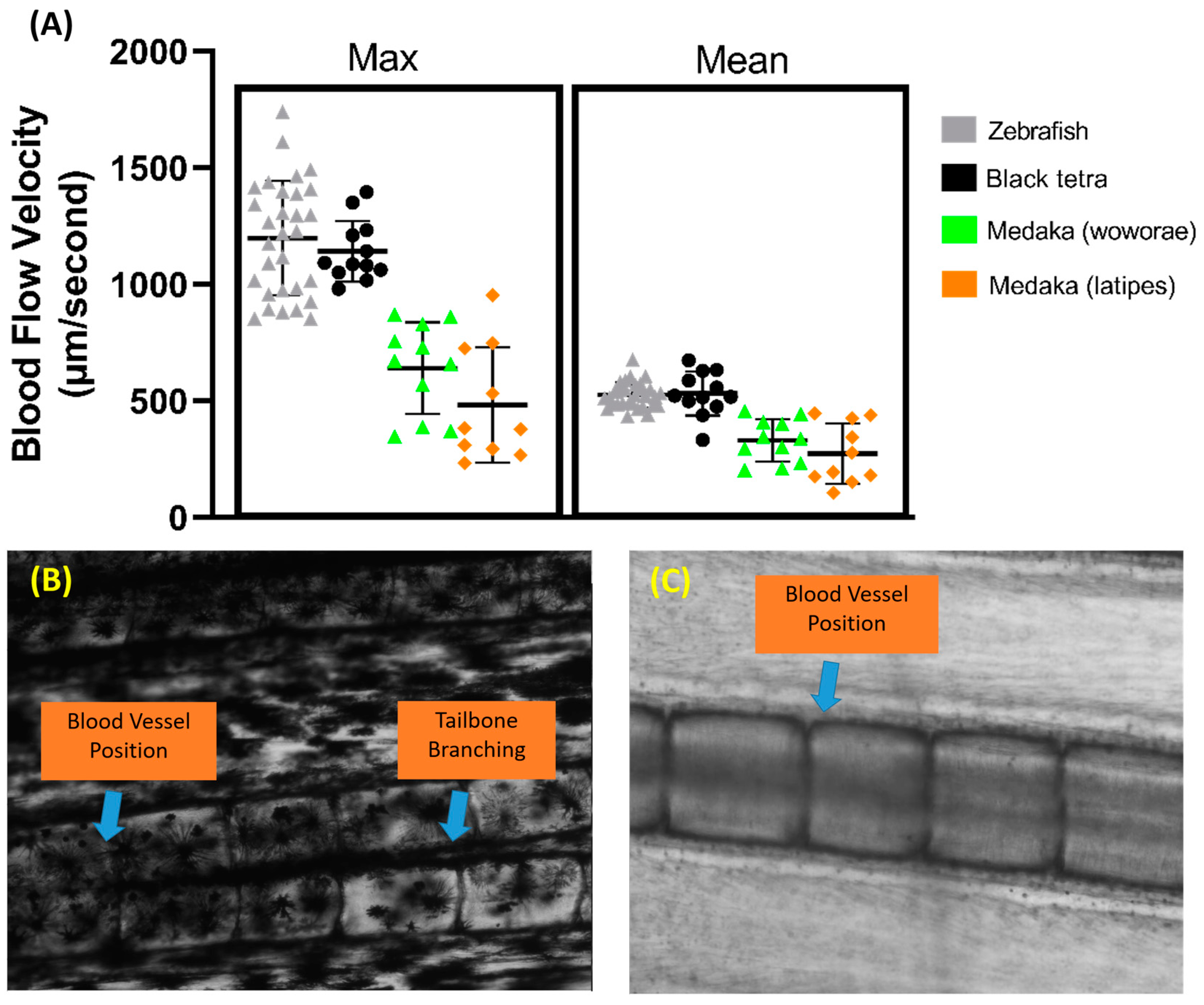 Biology 14 00051 g007