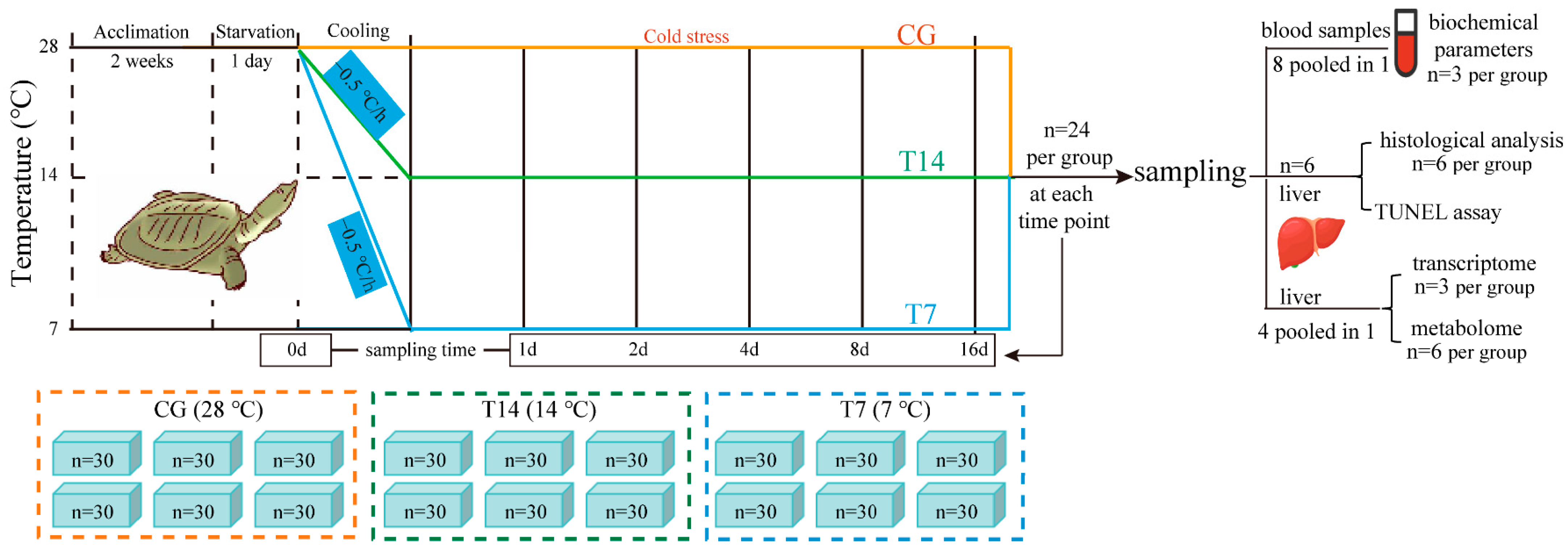 Biology 14 00055 g001