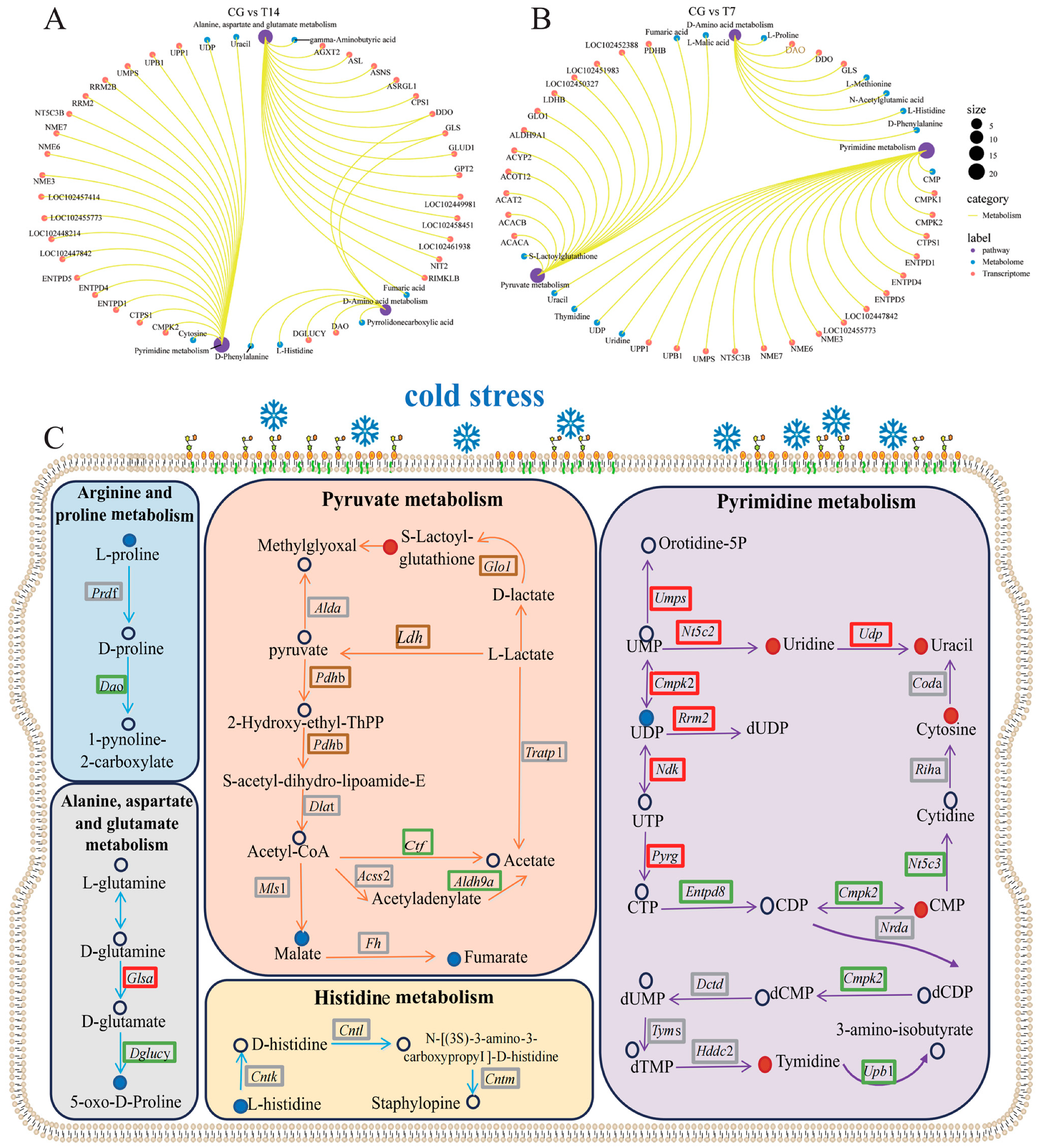 Biology 14 00055 g009