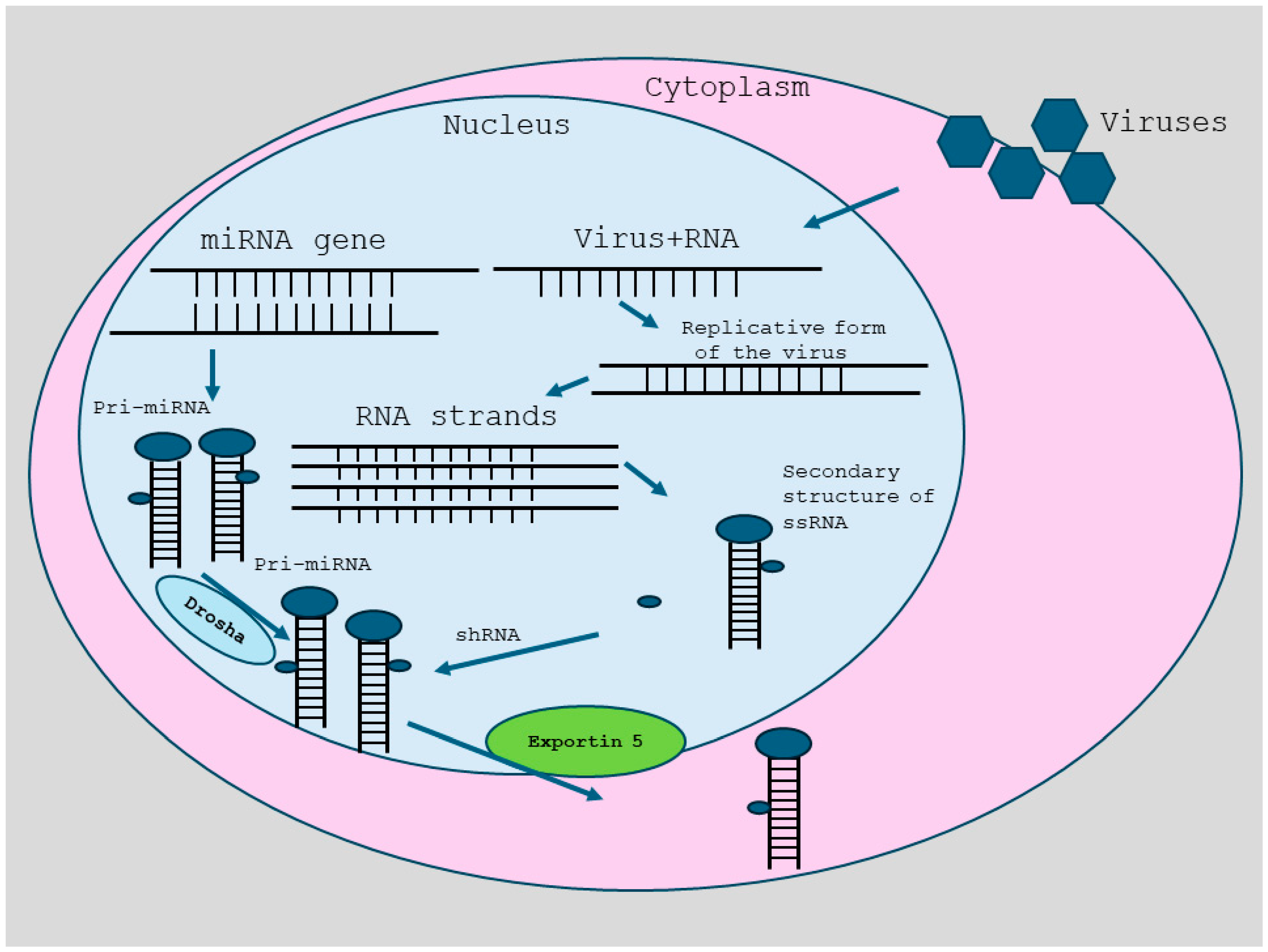 Biology 14 00093 g001
