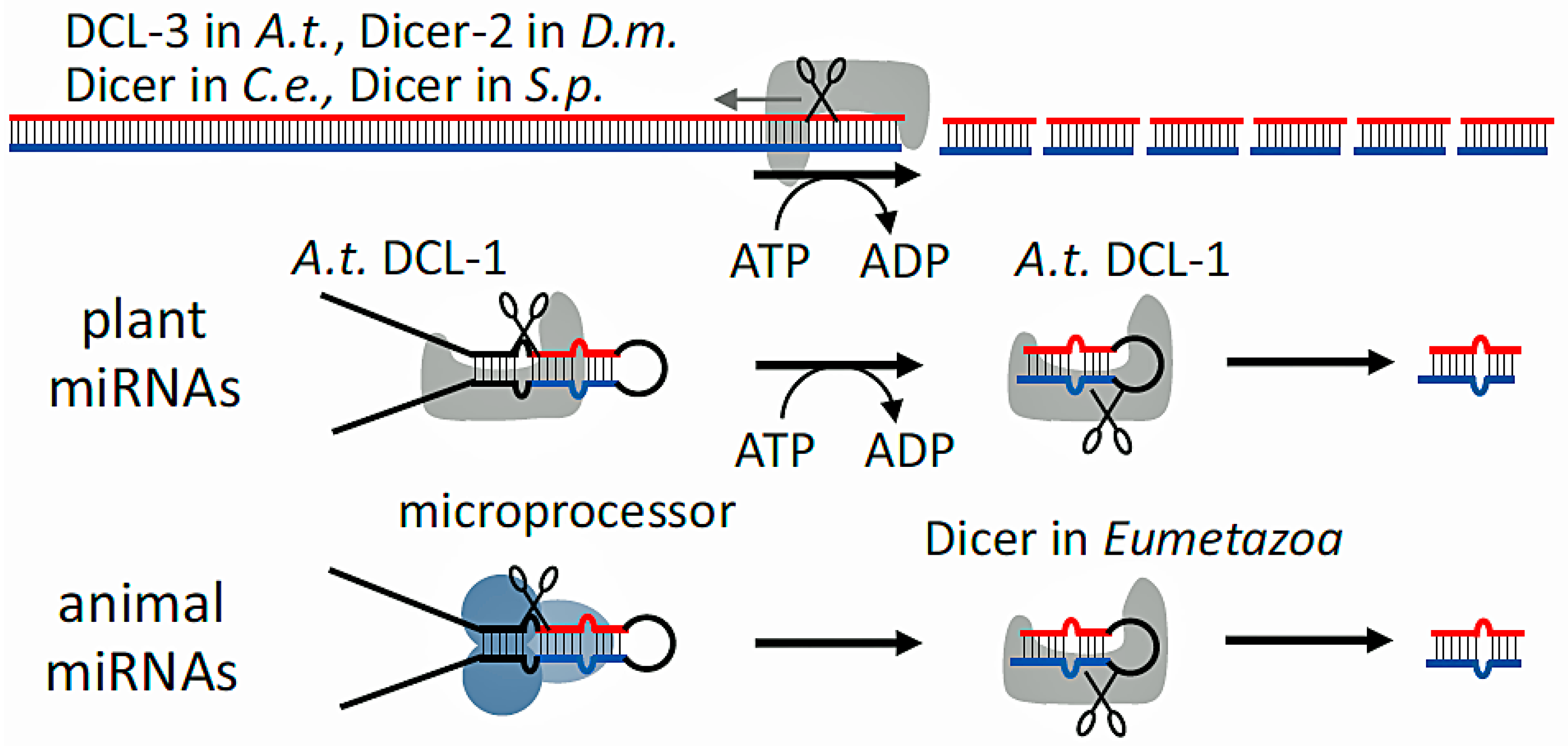 Biology 14 00093 g003