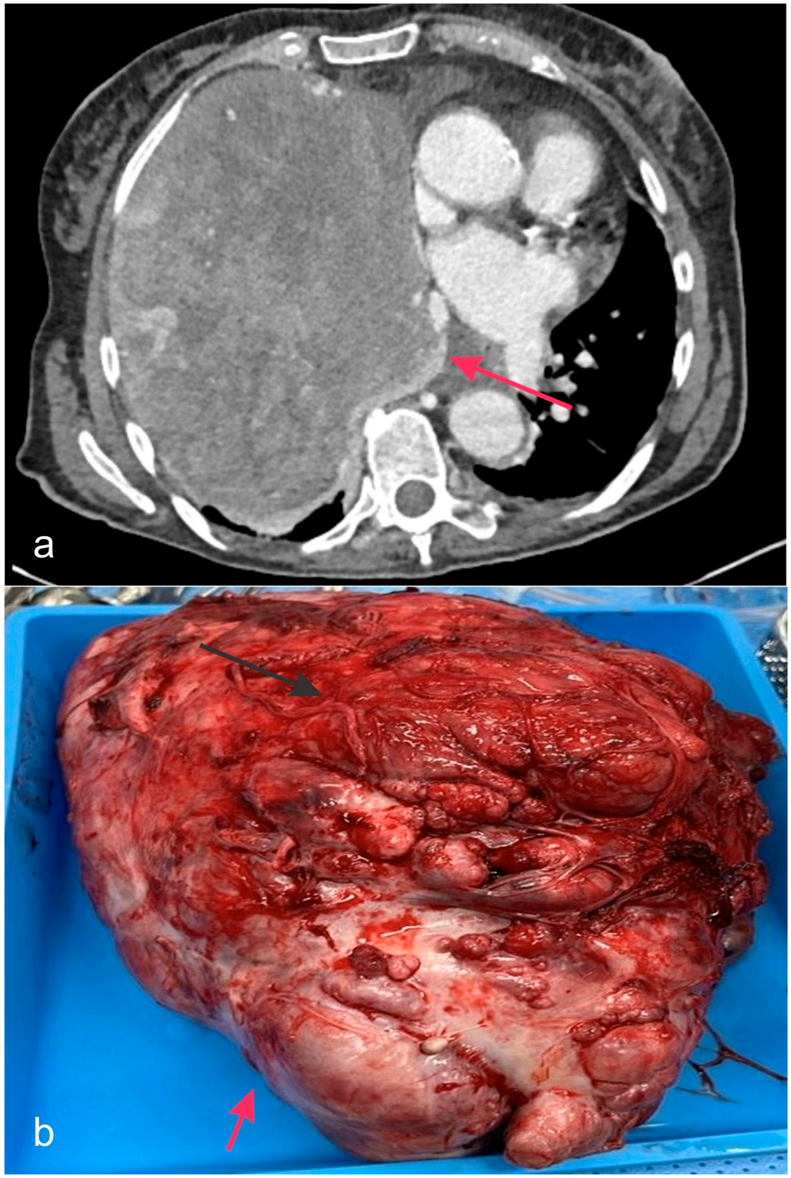 Biology 14 00093 g004
