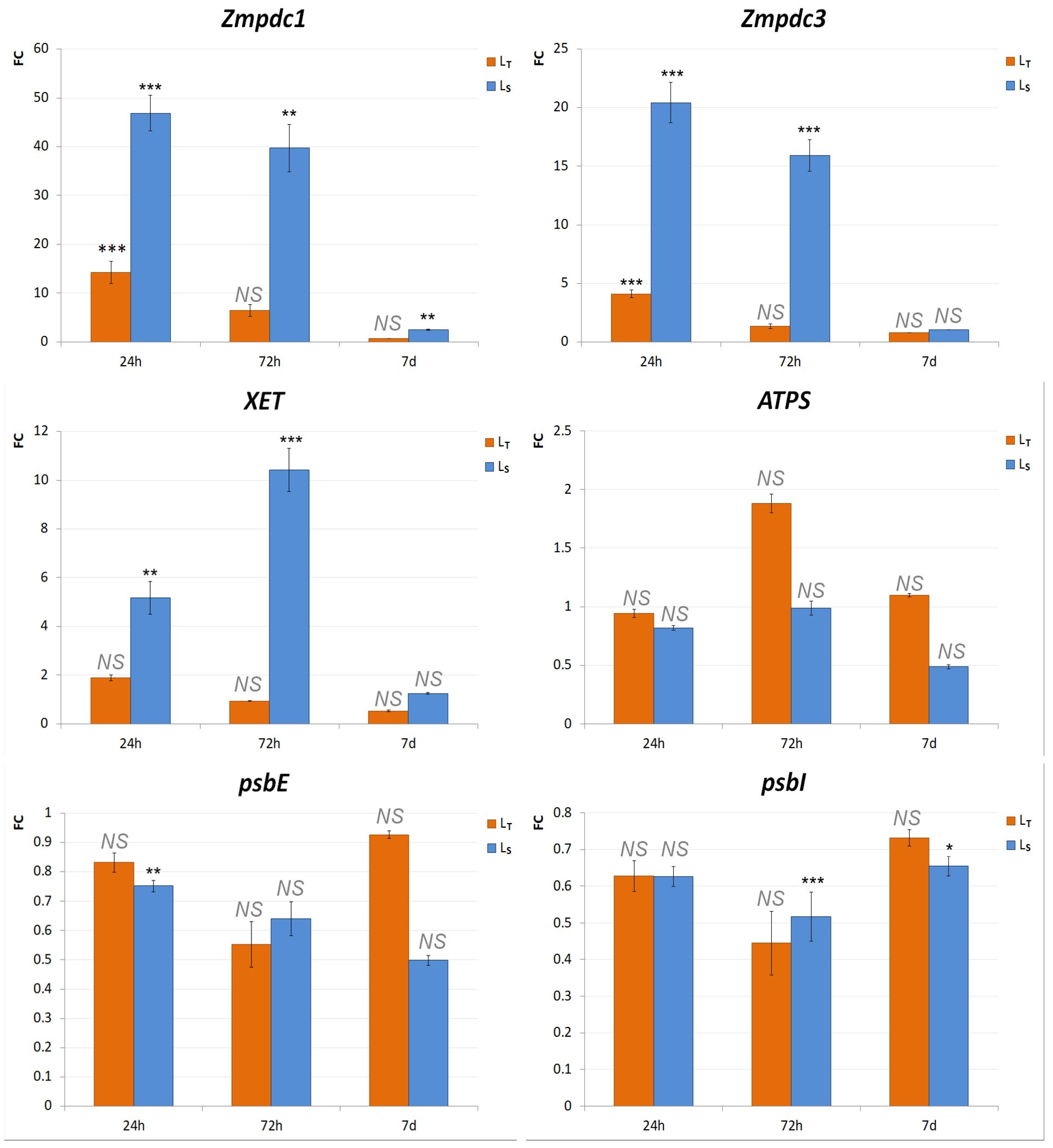 Biology 14 00111 g005
