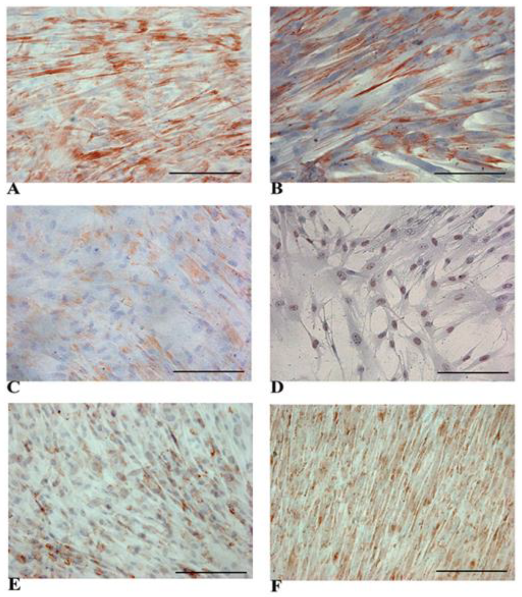Biology 14 00124 g002