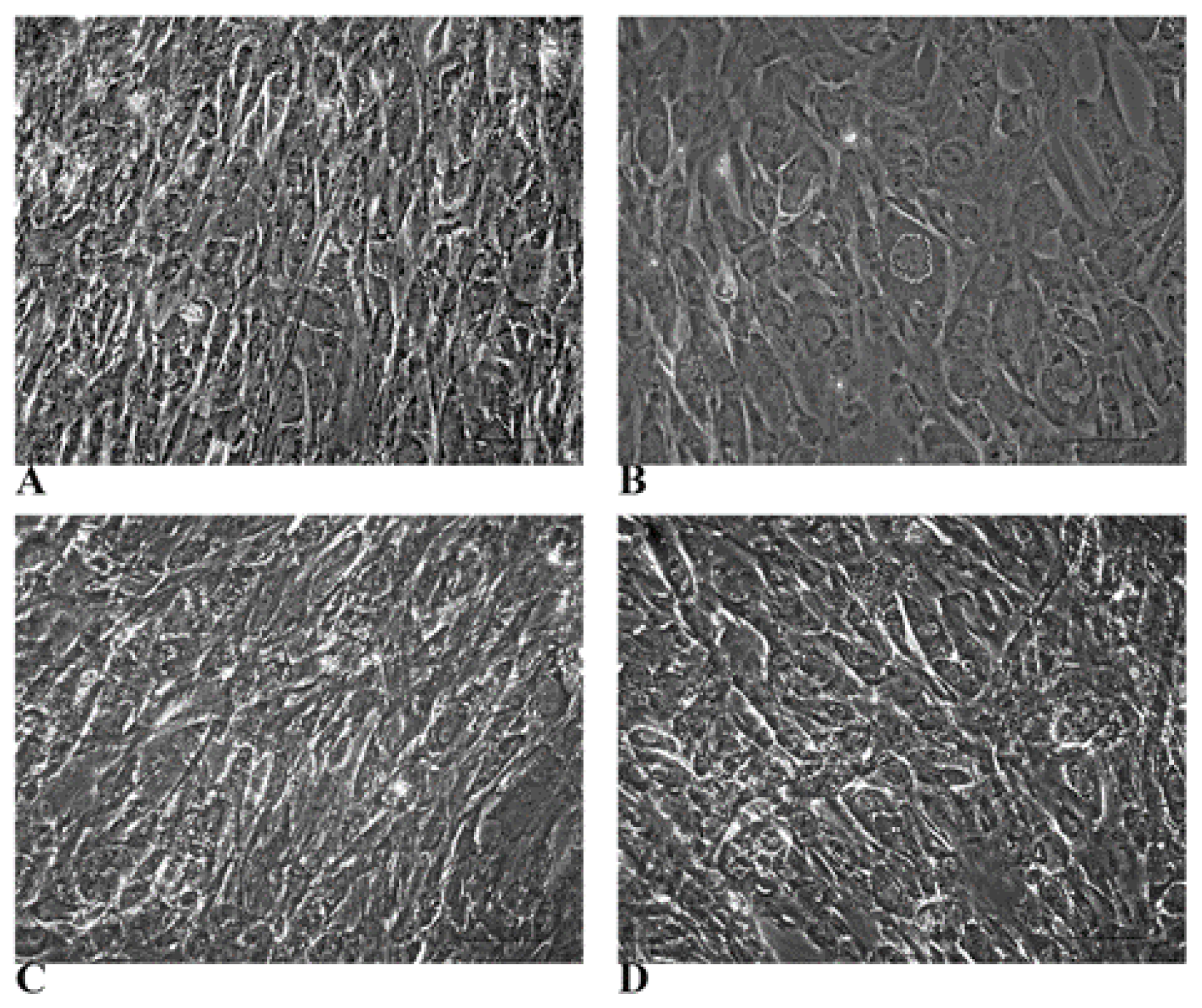 Biology 14 00124 g003