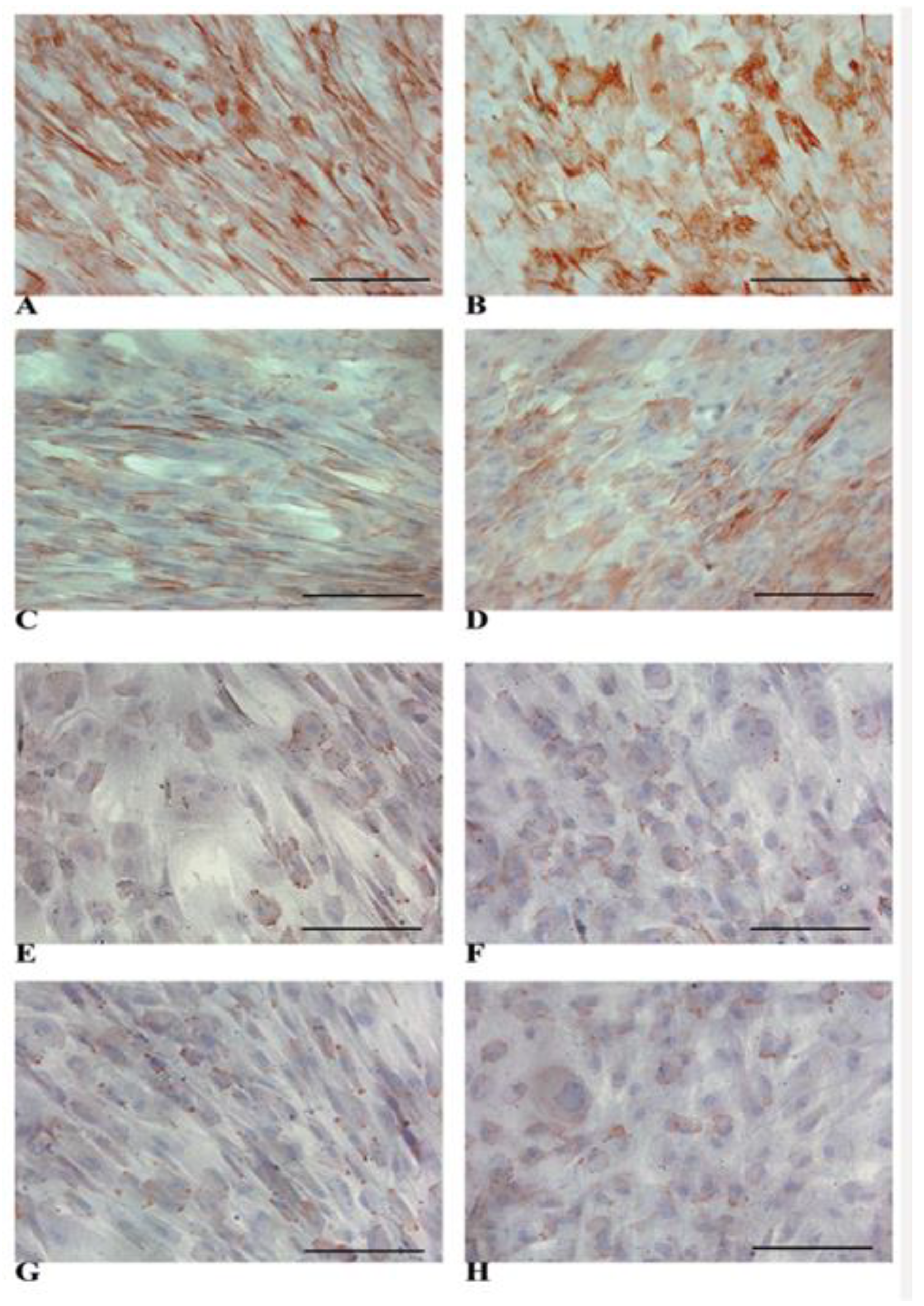 Biology 14 00124 g007