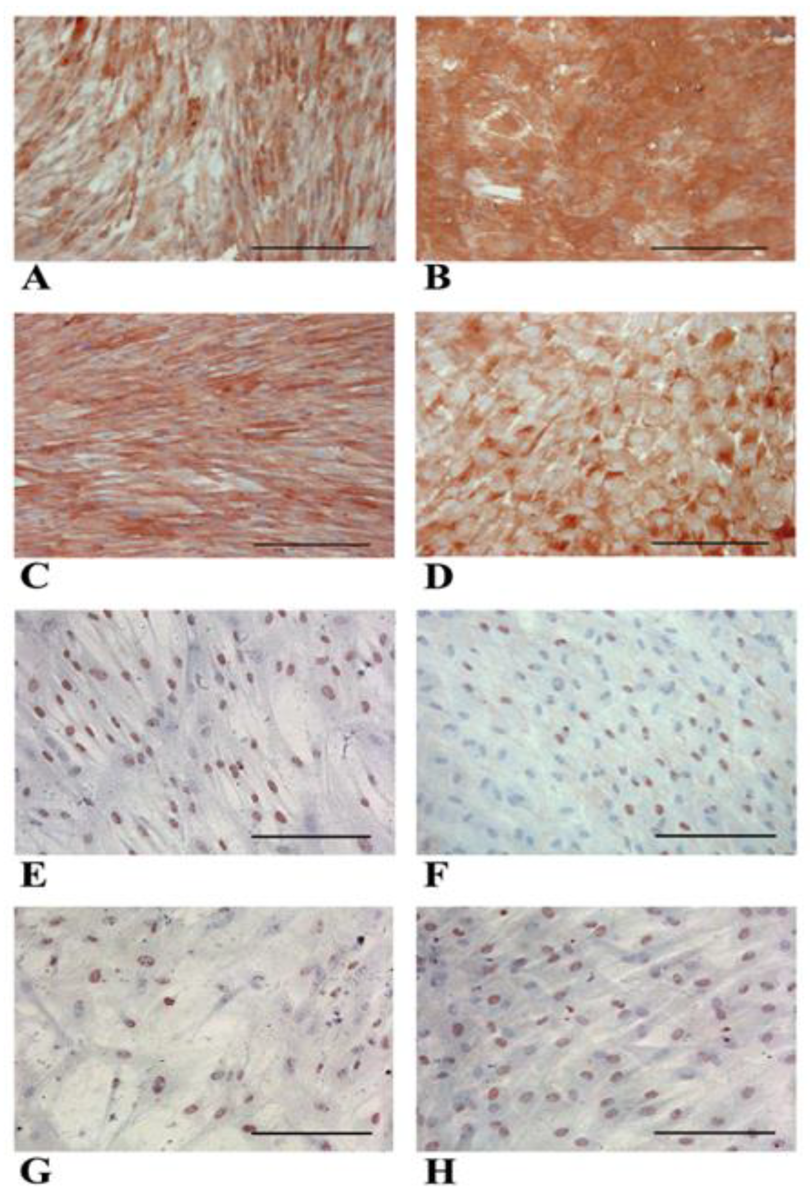 Biology 14 00124 g008