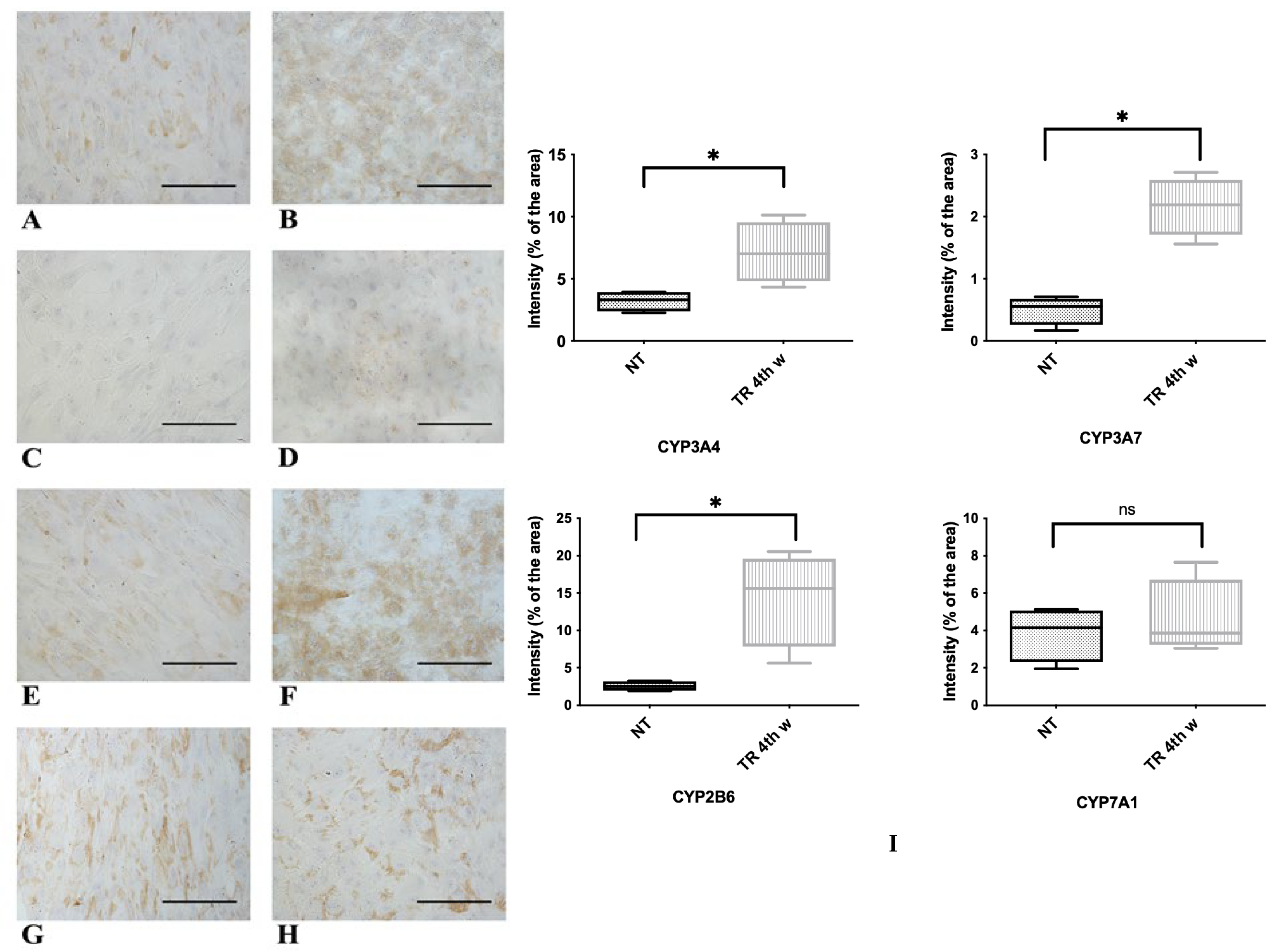 Biology 14 00124 g010